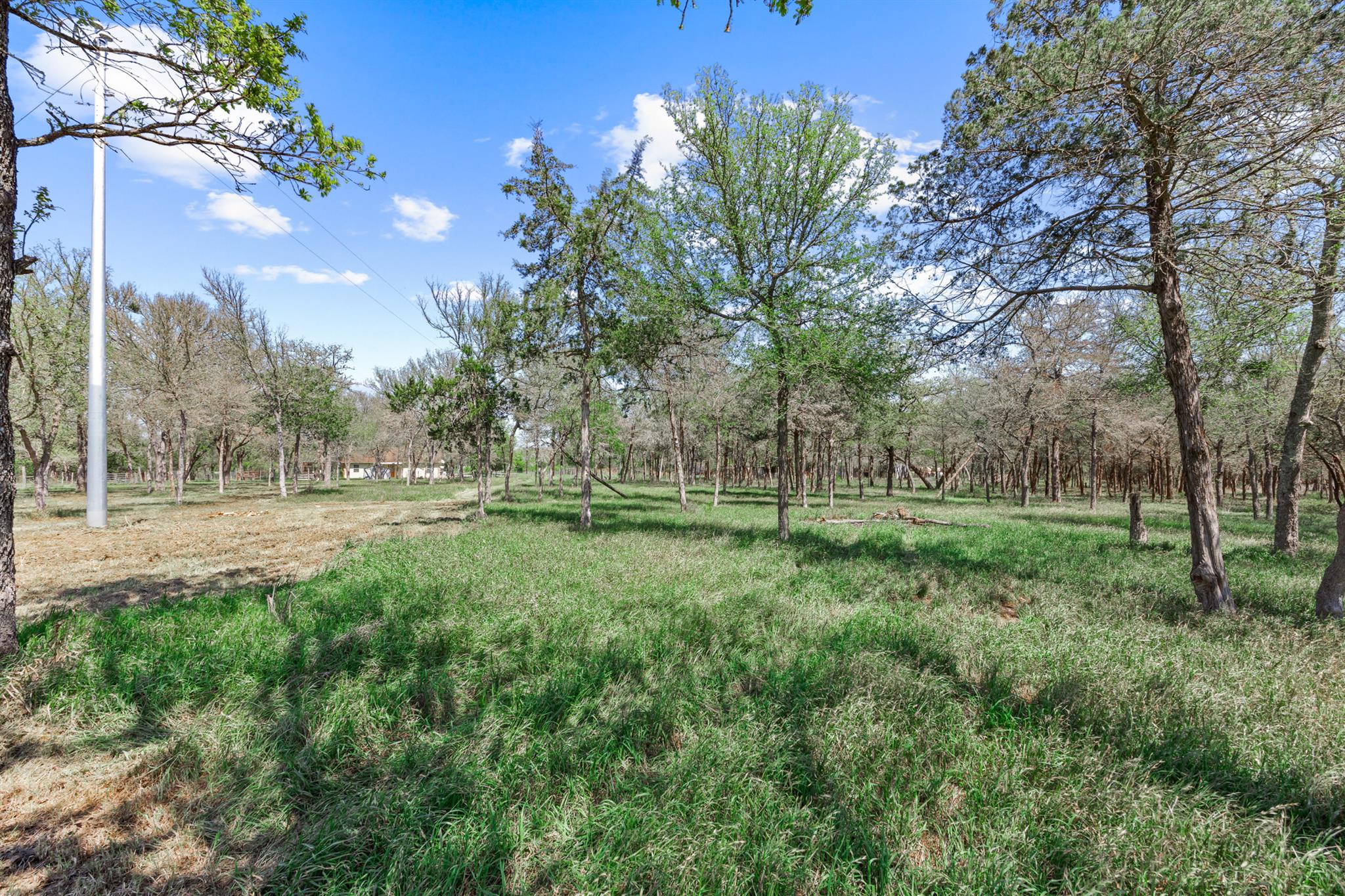 445 Saint Johns Rd Property Photo 12
