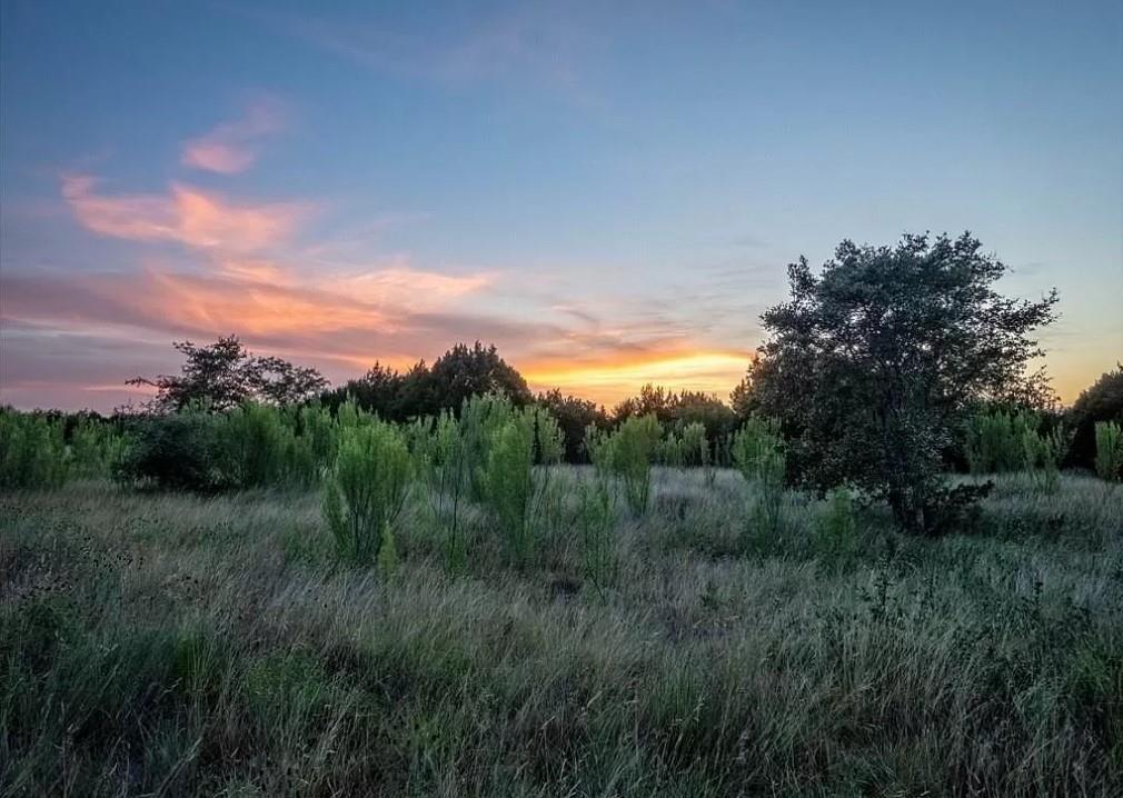 Lot 185 Three Creeks Dr Property Photo 1