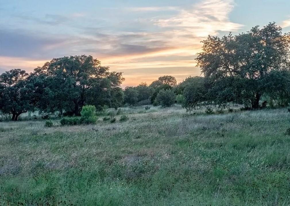 Lot 185 Three Creeks Dr Property Photo 2