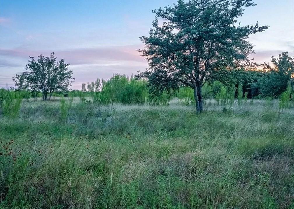Lot 185 Three Creeks Dr Property Photo 8