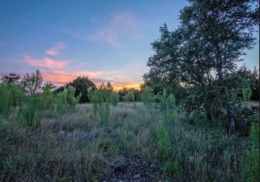 Lot 185 Three Creeks Dr Property Photo 11