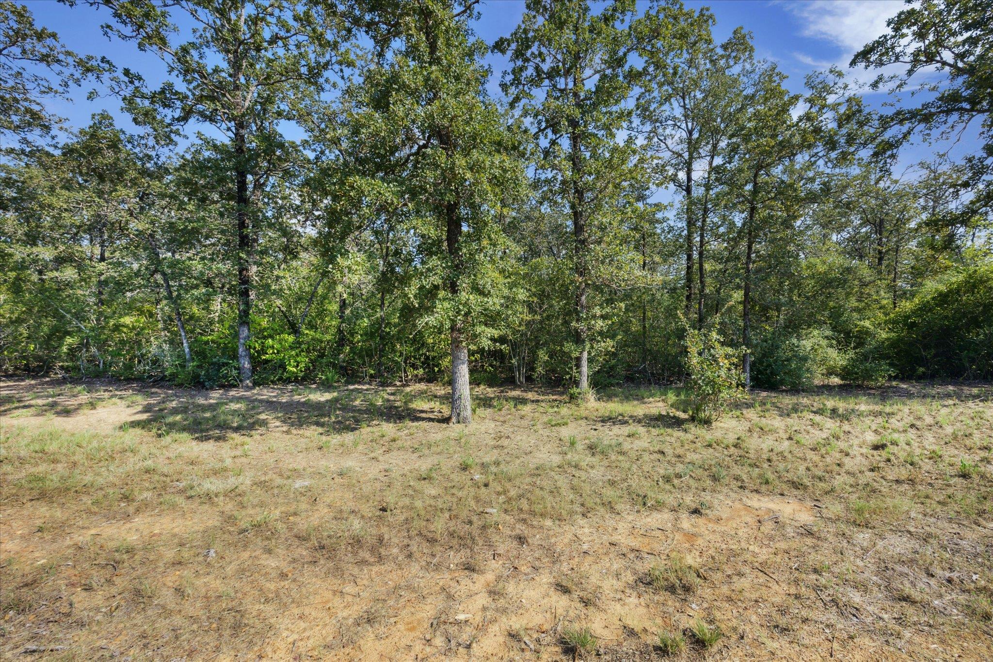 Lot 29 Walleye Creek Trl Property Photo 10