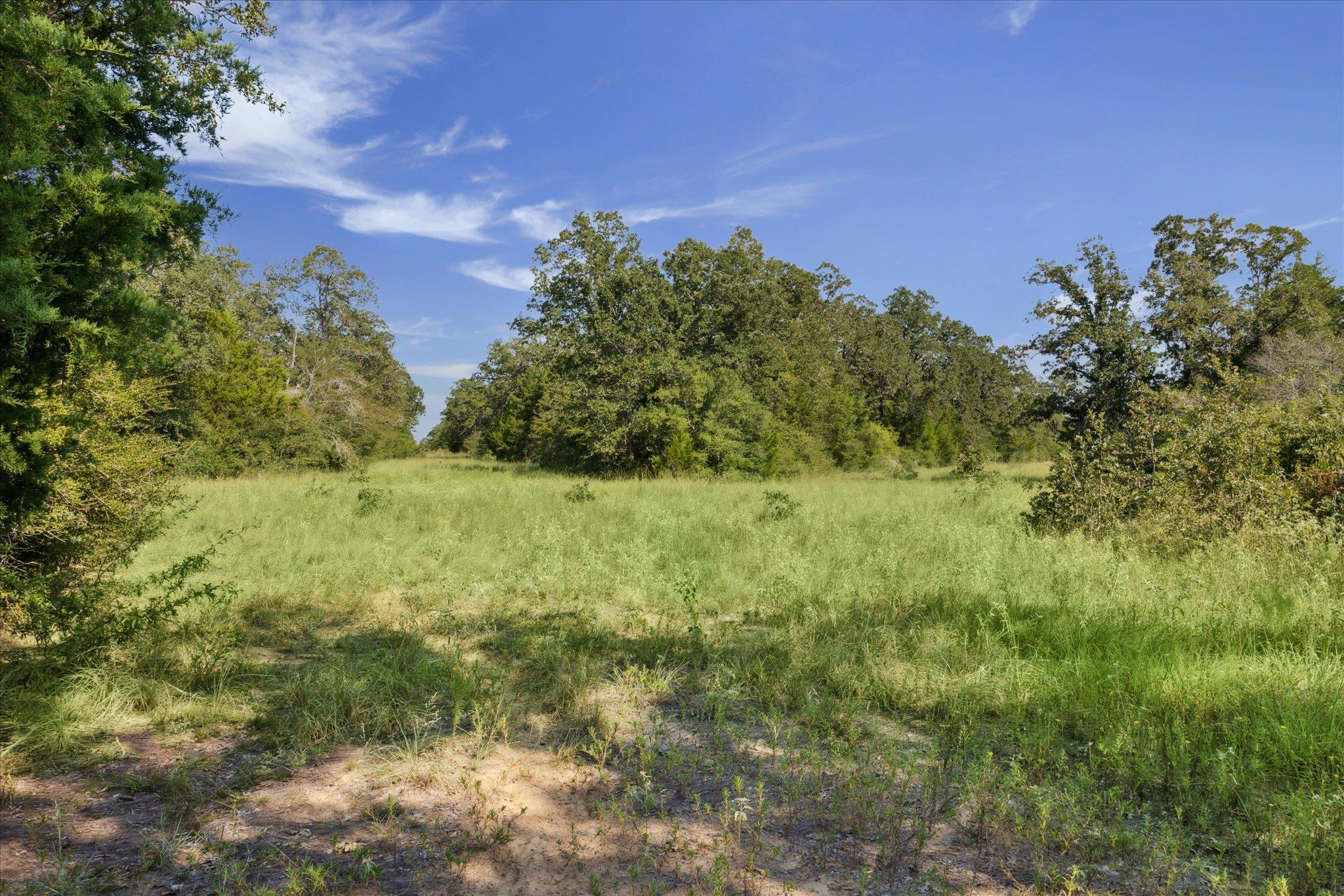 Lot 29 Walleye Creek Trl Property Photo 11