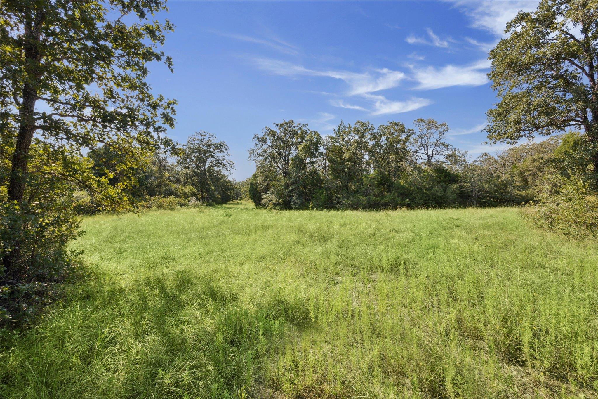Lot 29 Walleye Creek Trl Property Photo 12