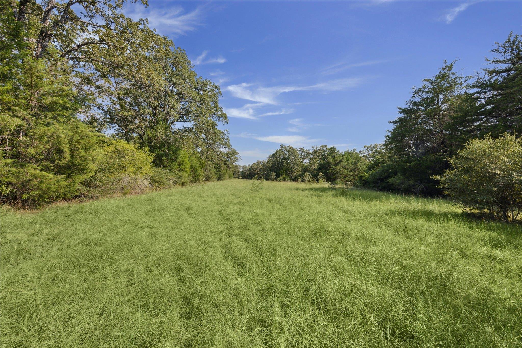 Lot 29 Walleye Creek Trl Property Photo 13