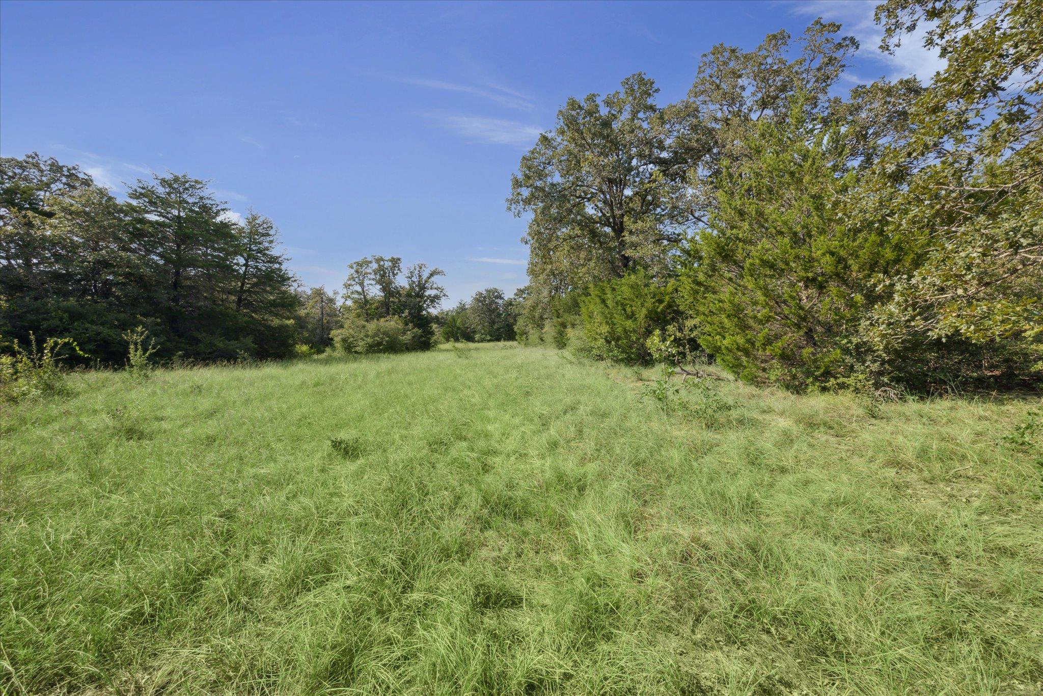 Lot 29 Walleye Creek Trl Property Photo 14