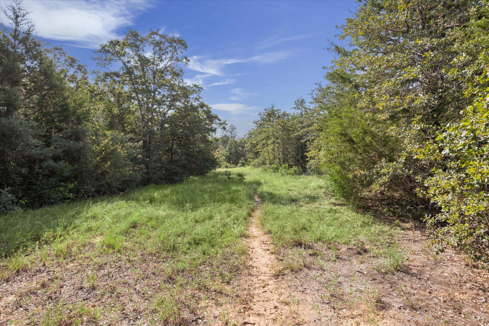 Lot 29 Walleye Creek Trl Property Photo 15