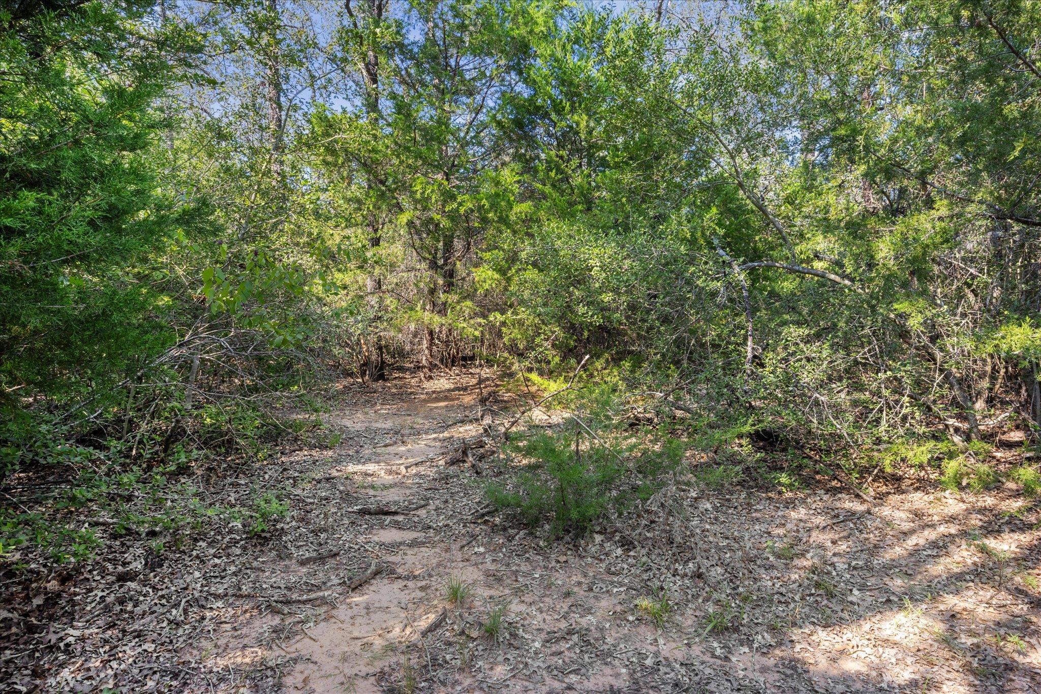 Lot 29 Walleye Creek Trl Property Photo 16