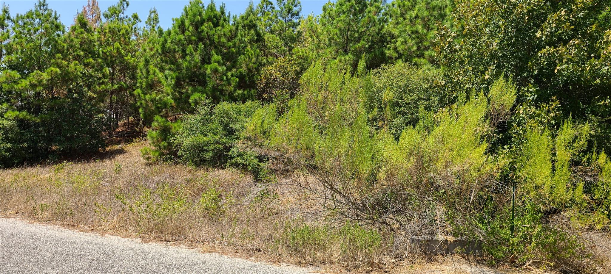 Tbd Tall Forest Dr Property Photo 2