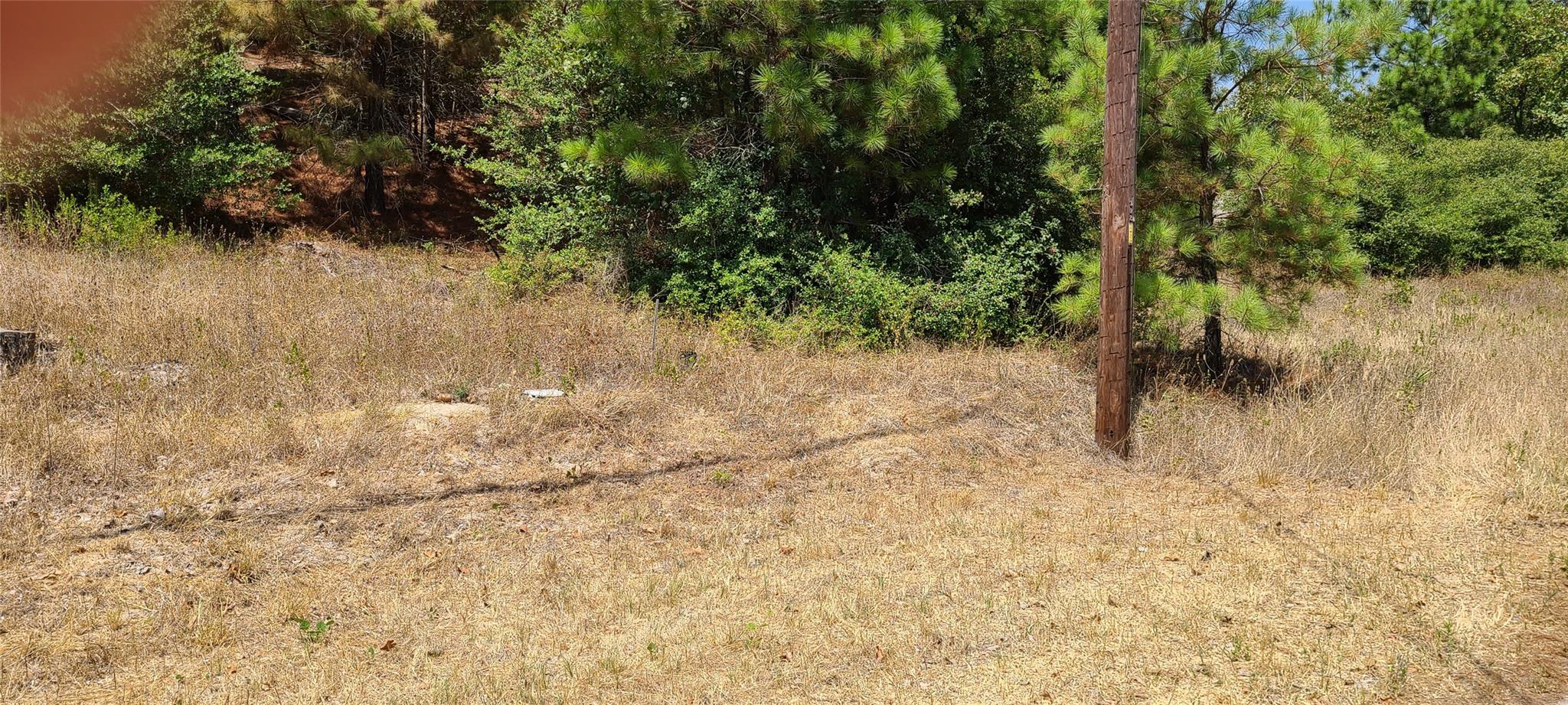 Tbd Tall Forest Dr Property Photo 3