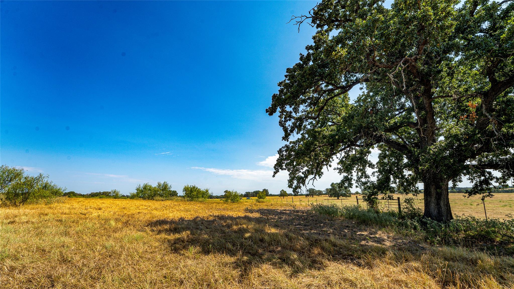 0000 Cr 446 None Property Photo 2