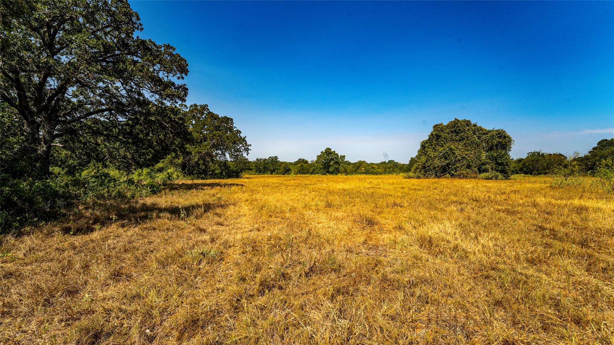 0000 Cr 446 None Property Photo 6