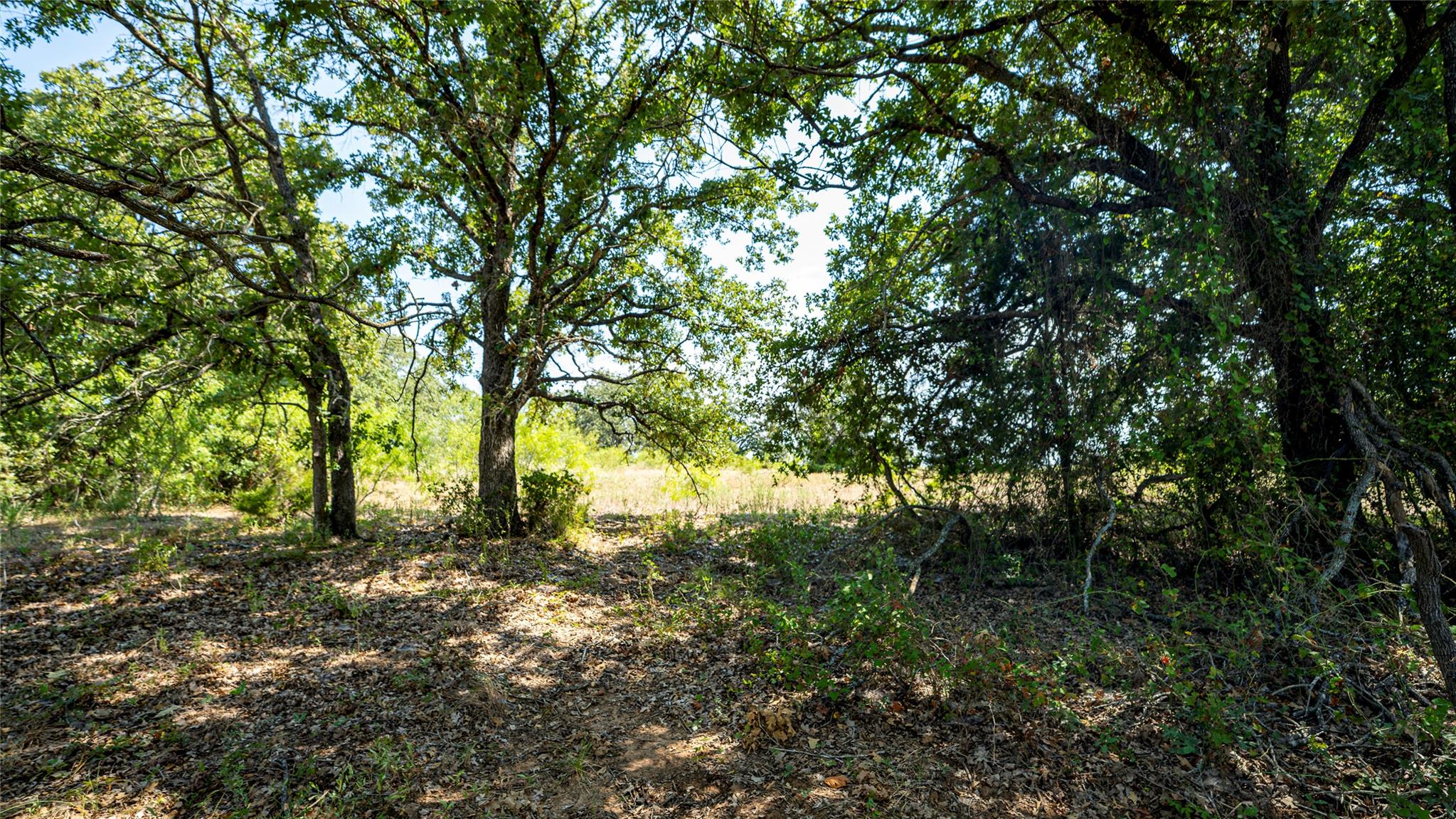 0000 Cr 446 None Property Photo 9