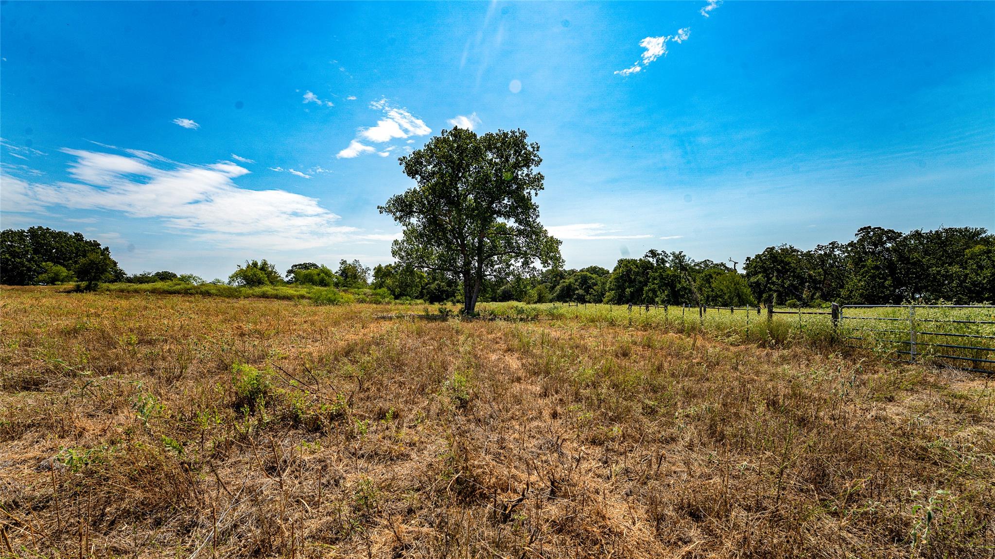 0000 Cr 446 None Property Photo 11