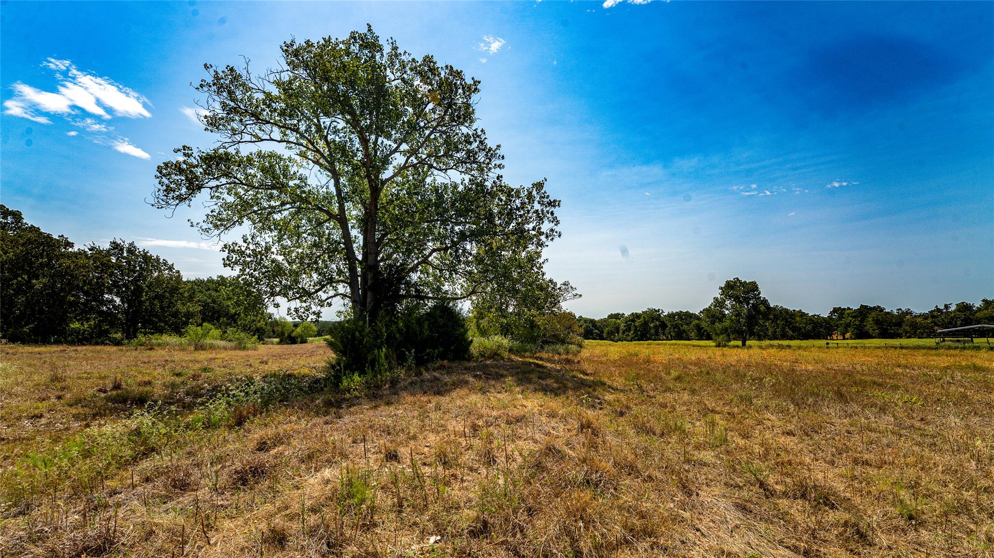 0000 Cr 446 None Property Photo 13