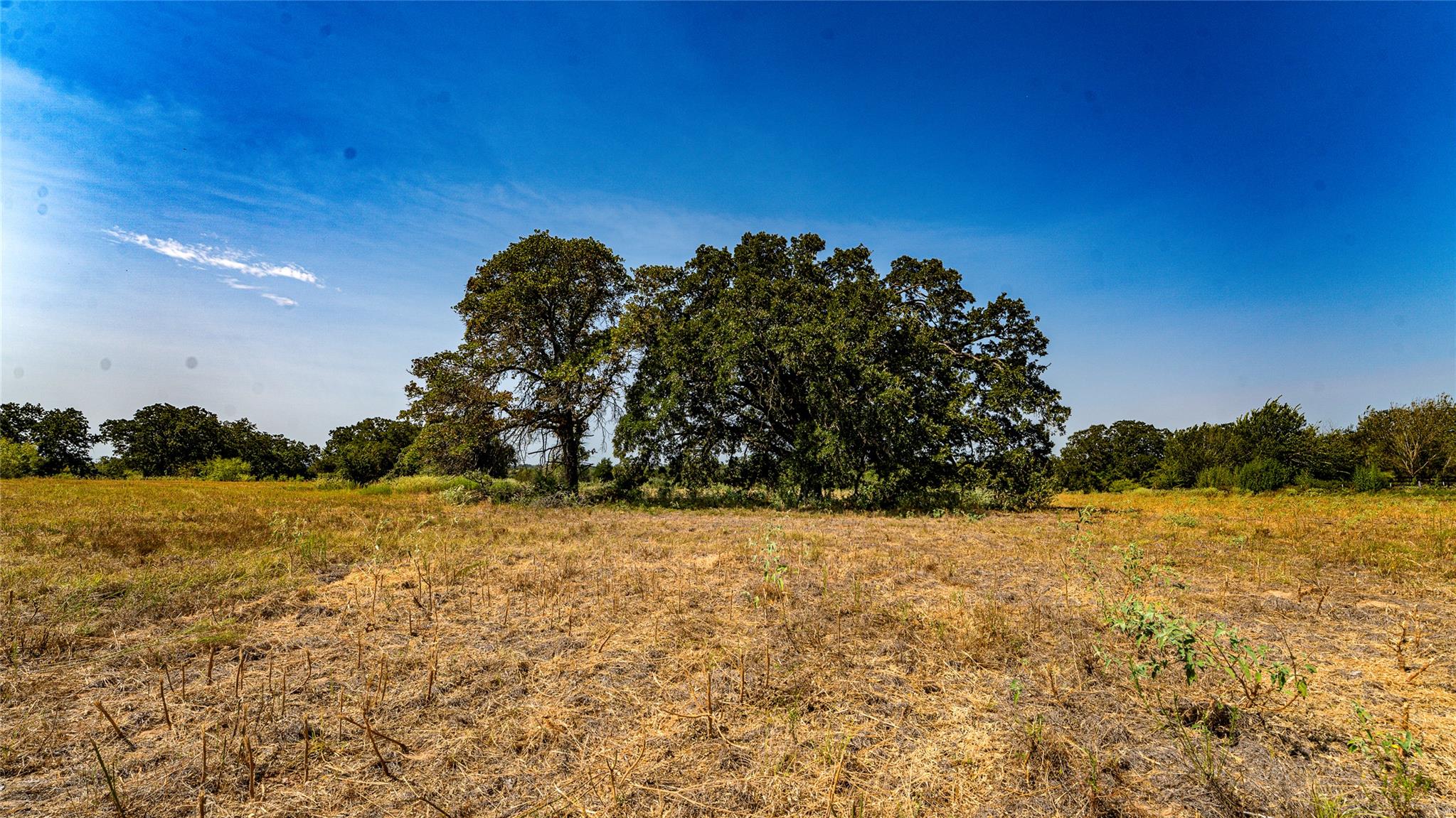 0000 Cr 446 None Property Photo 15