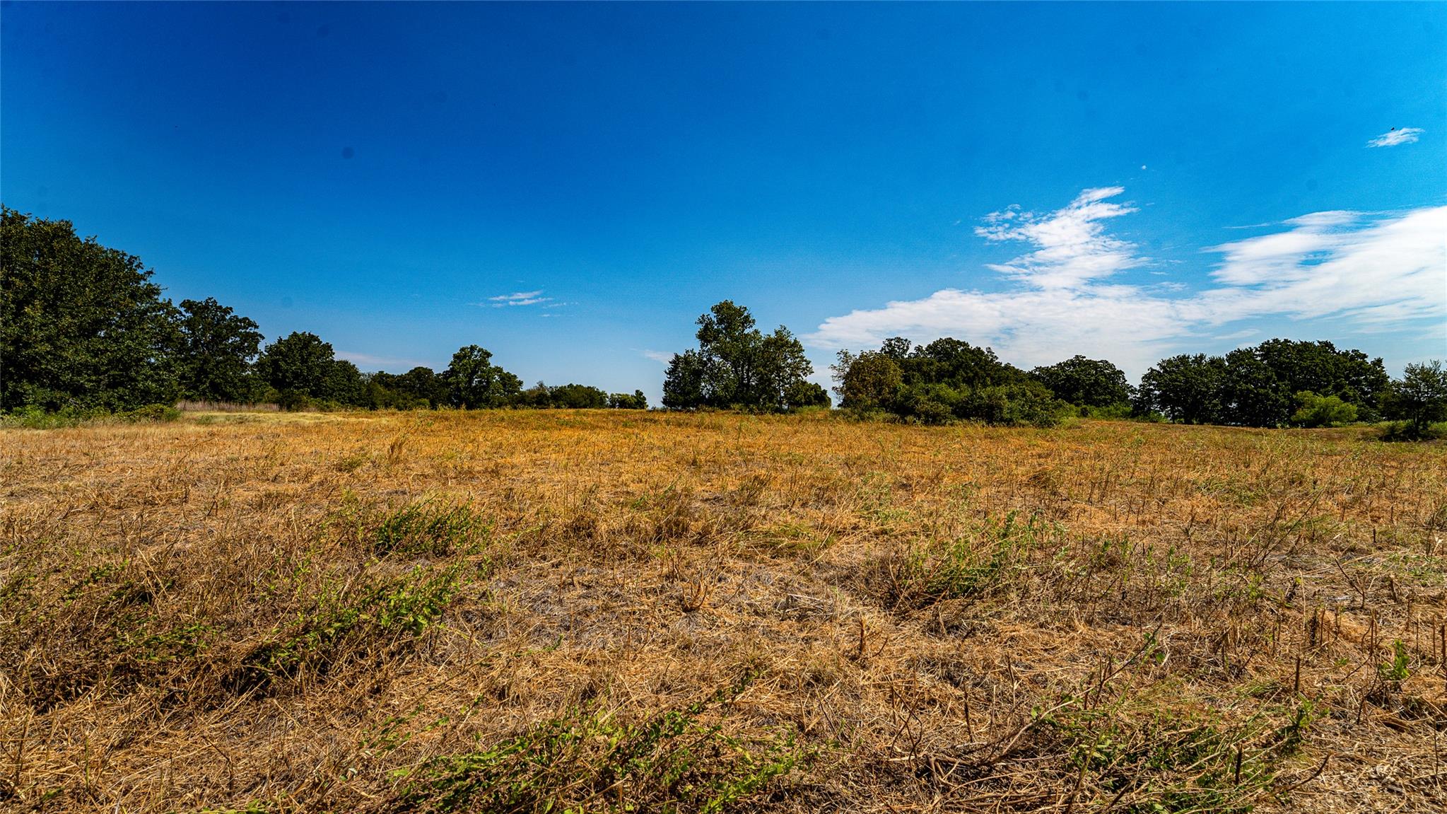 0000 Cr 446 None Property Photo 17