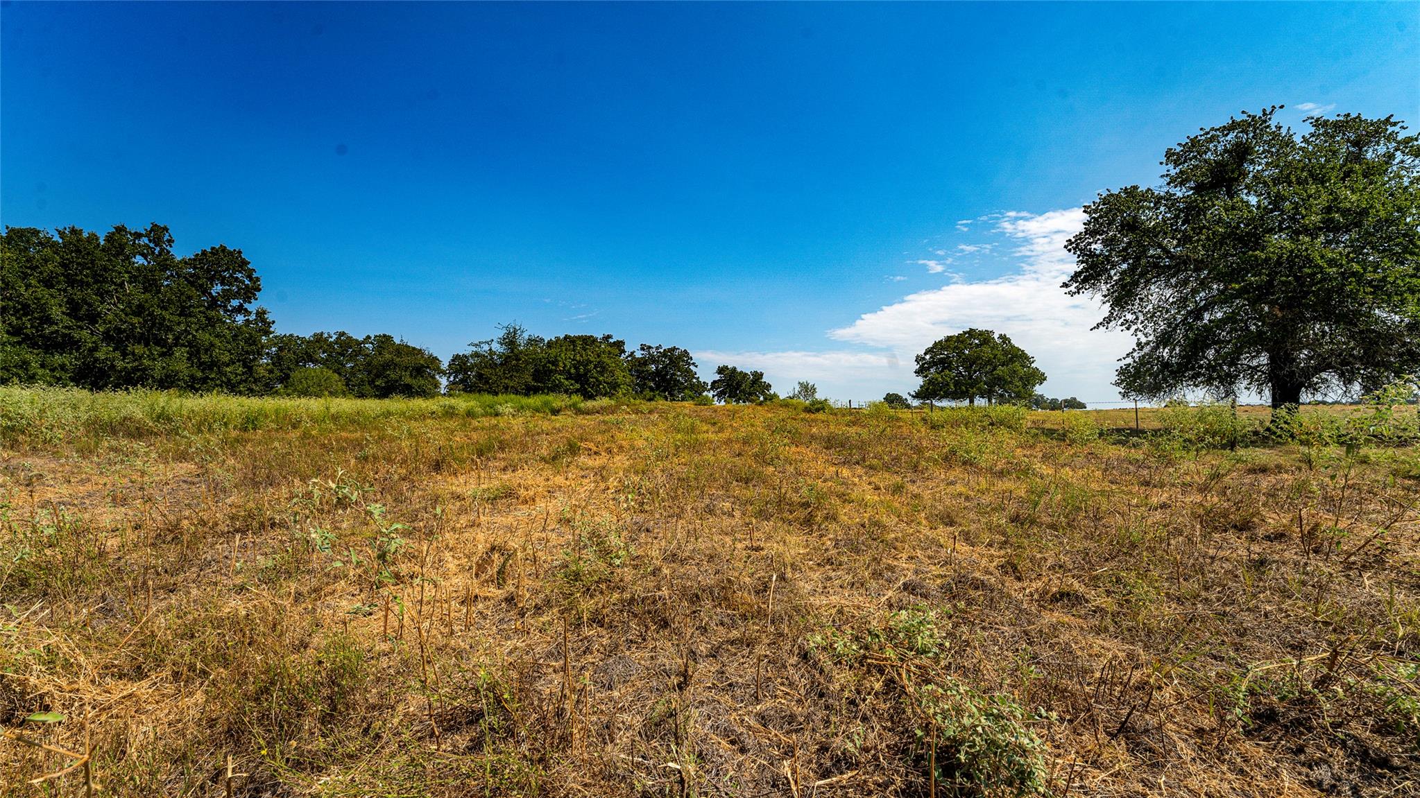 0000 Cr 446 None Property Photo 21