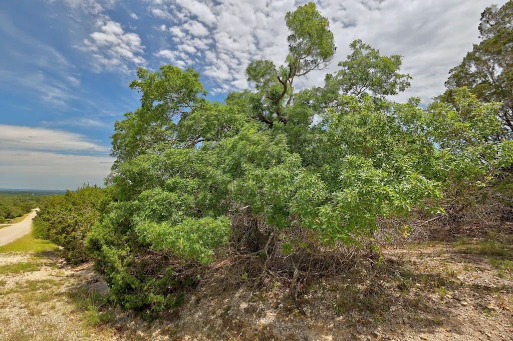 Tbd Windy Hills Rd Property Photo 25