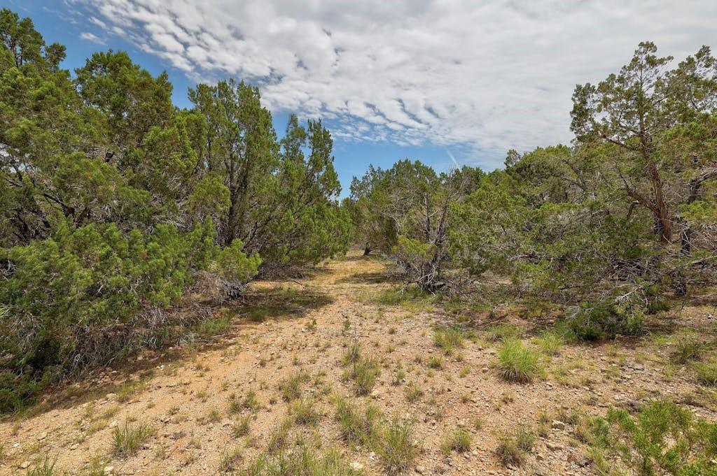 Tbd Windy Hills Rd Property Photo 28