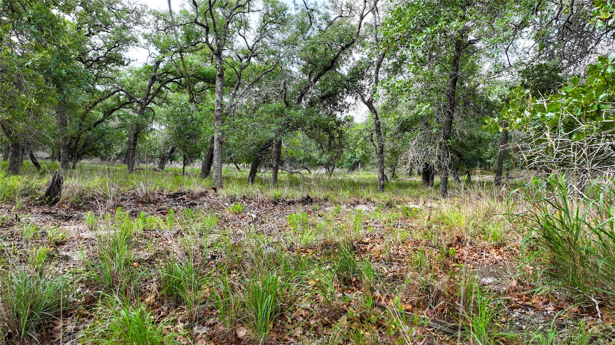 Lot 17 Sandstone Lane Property Photo 7