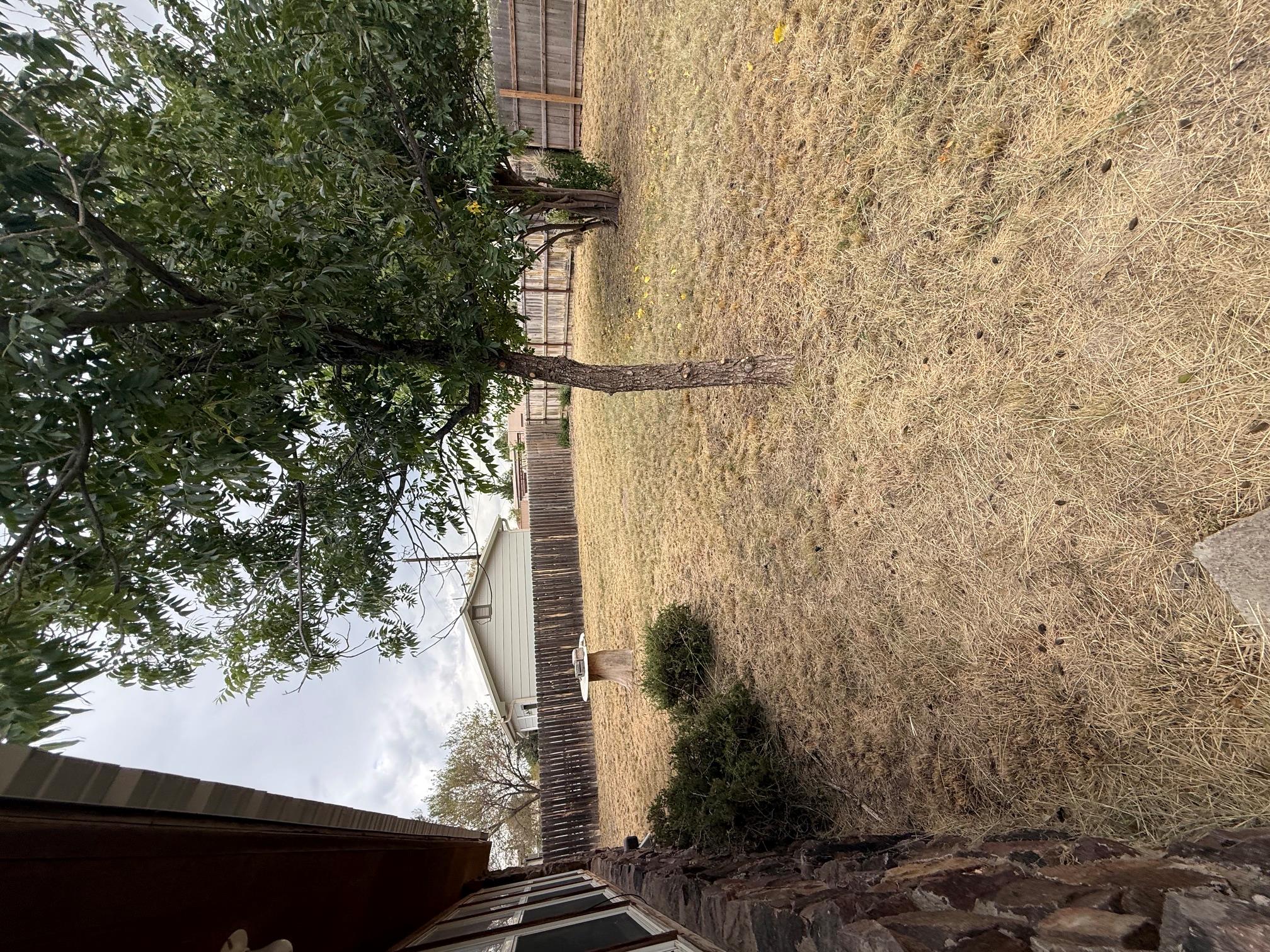 204 Circle C Ave Property Photo 11