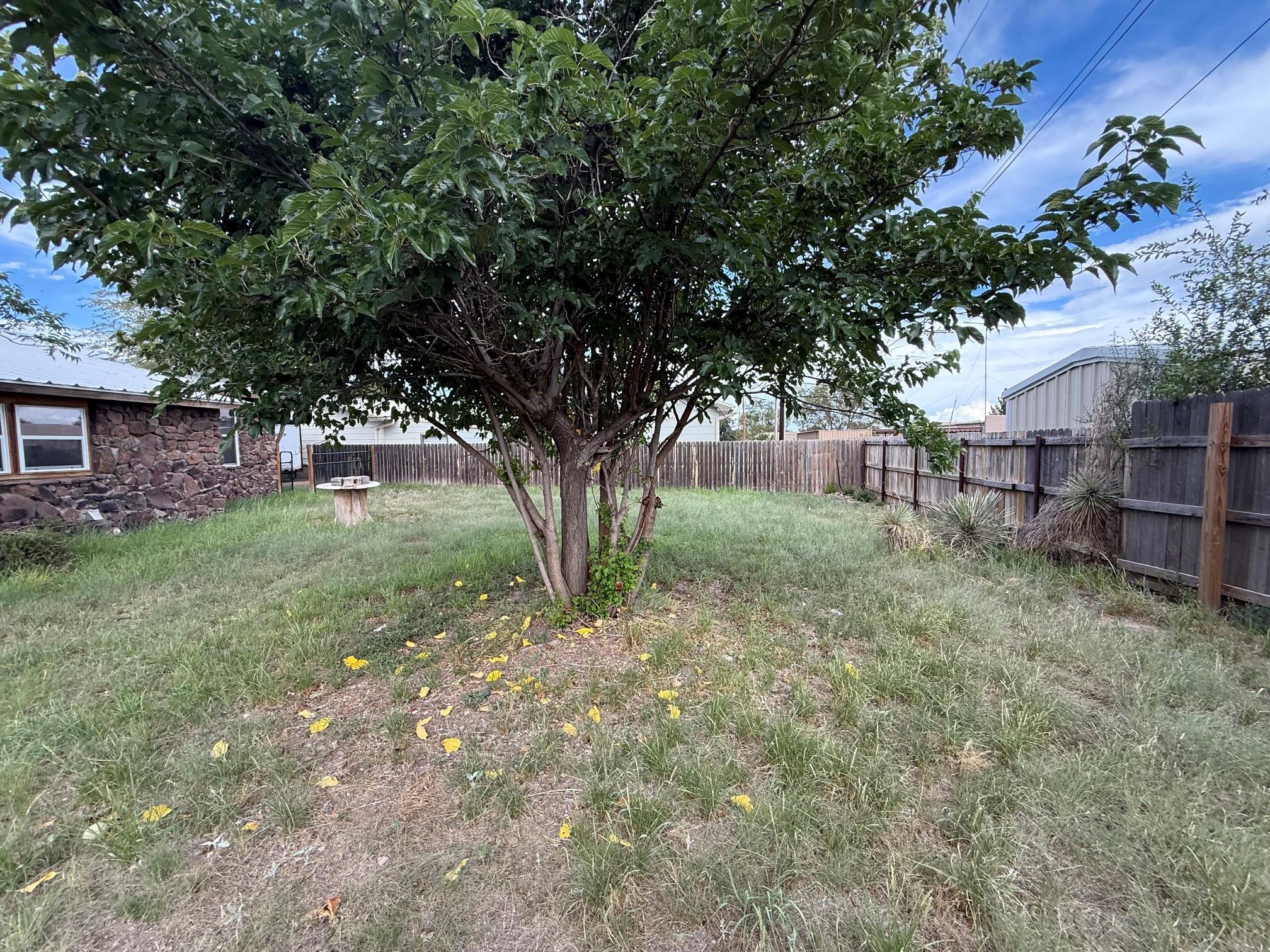 204 Circle C Ave Property Photo 31