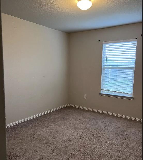 135 Smokebush Trl Property Photo 9