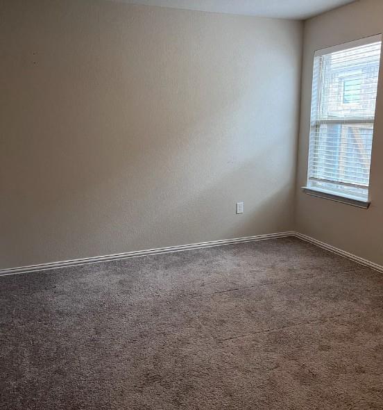 135 Smokebush Trl Property Photo 10