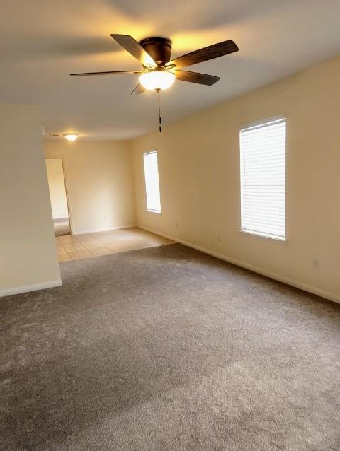 519 W Hutchison St #c Property Photo 5