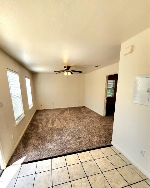 519 W Hutchison St #c Property Photo 6