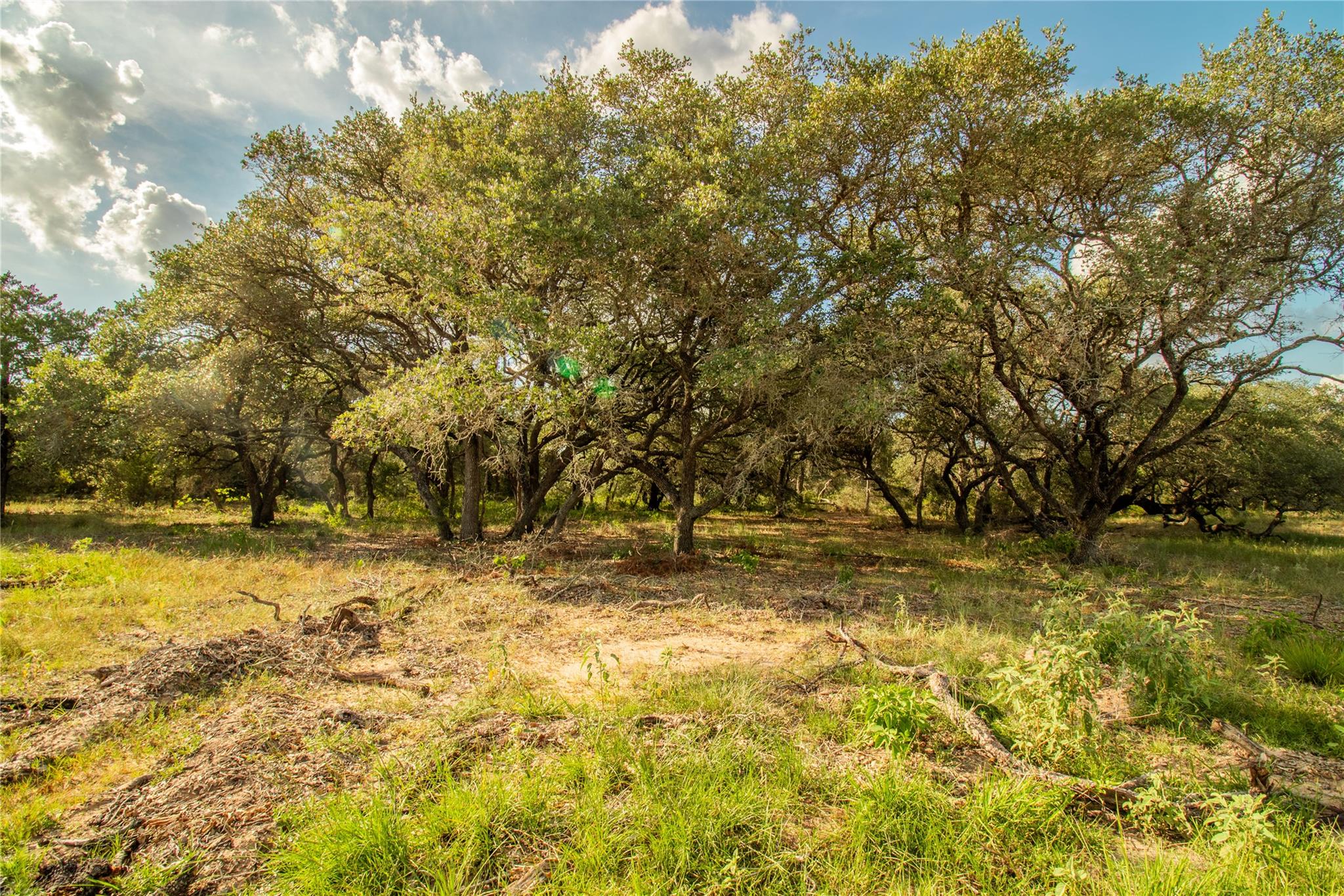 001 County Road 15 None Property Photo 5