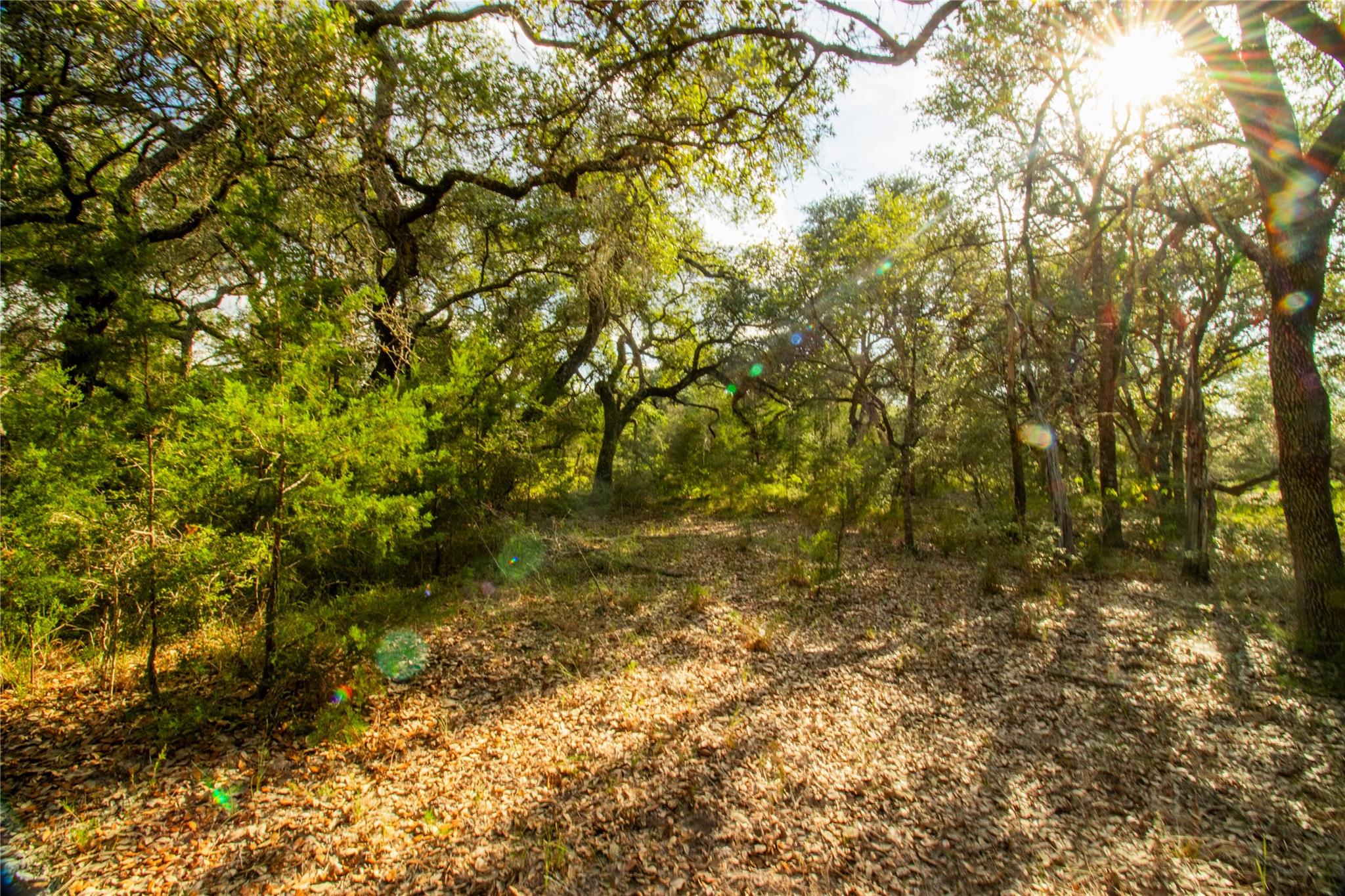 001 County Road 15 None Property Photo 6