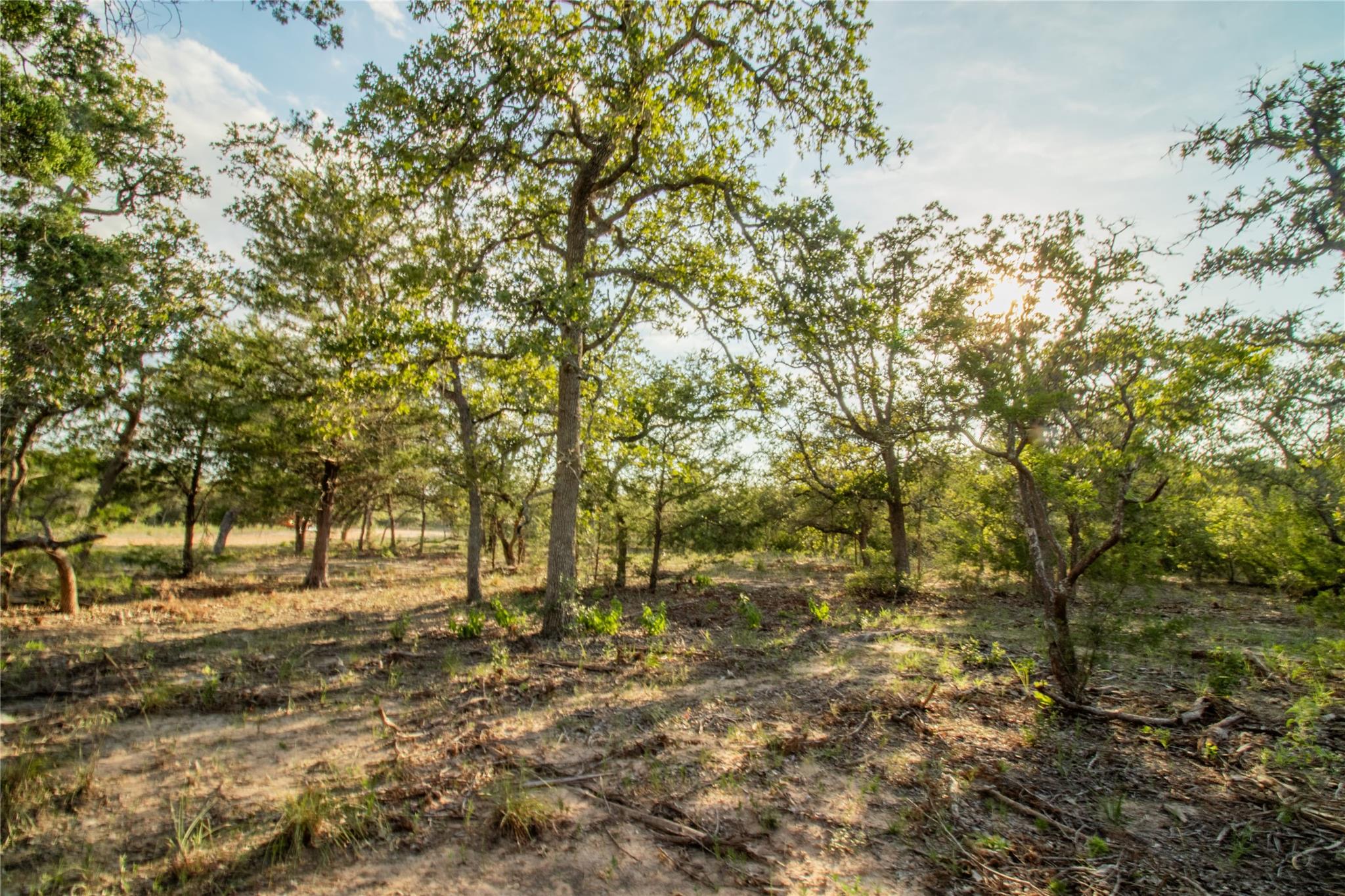001 County Road 15 None Property Photo 7