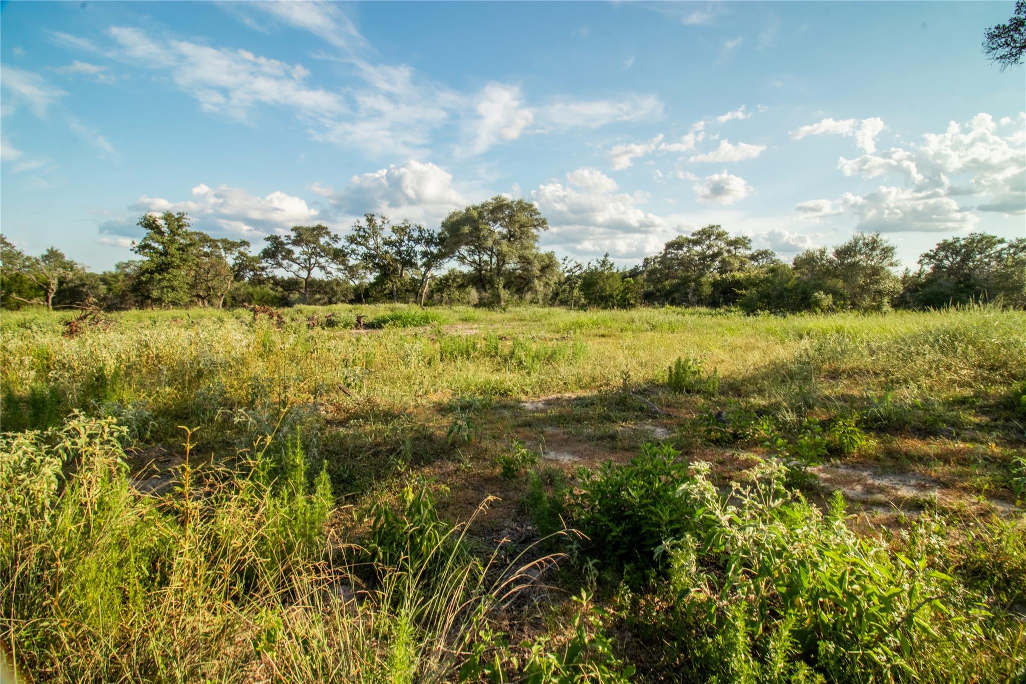 001 County Road 15 None Property Photo 9
