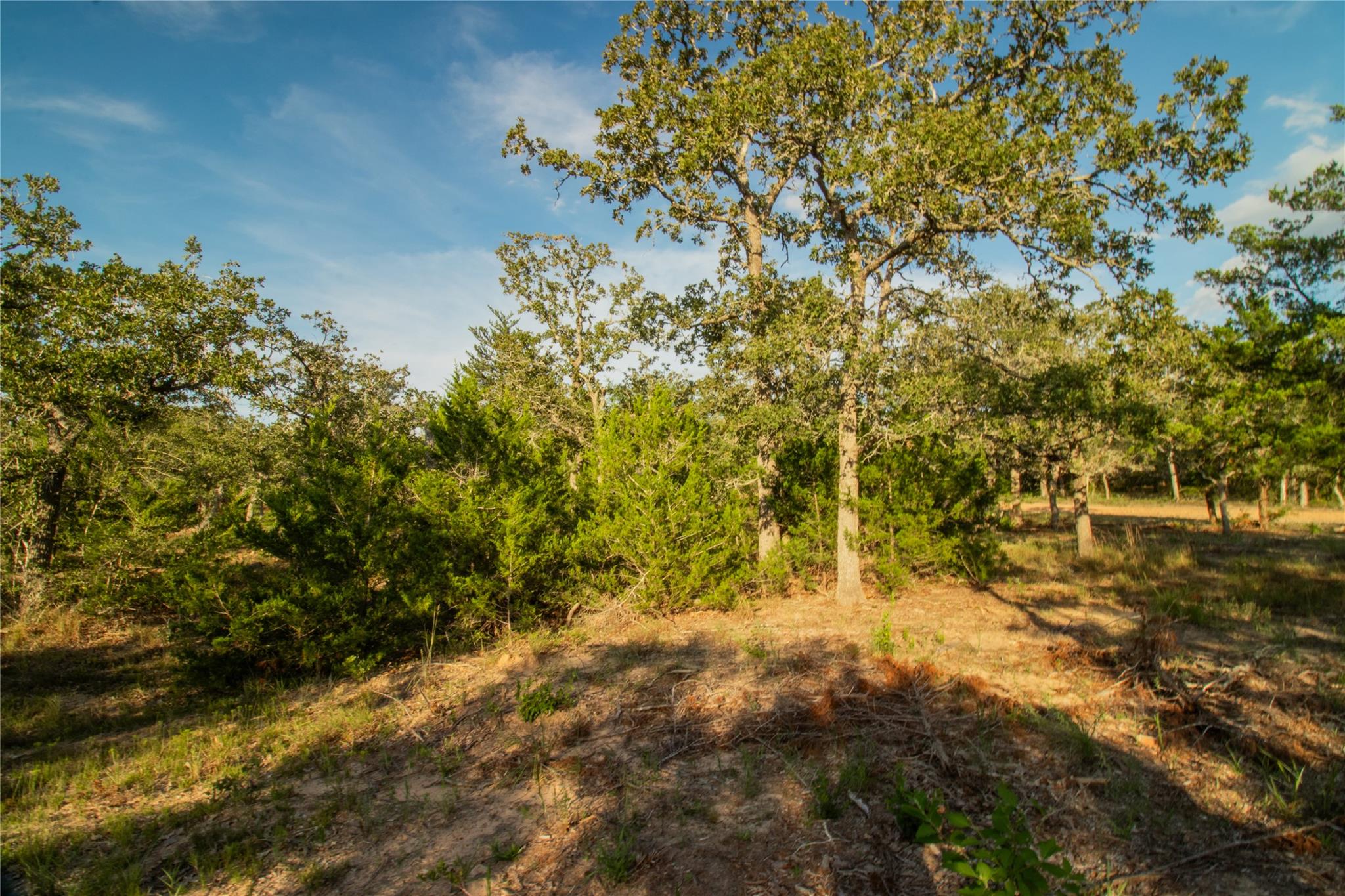 001 County Road 15 None Property Photo 11
