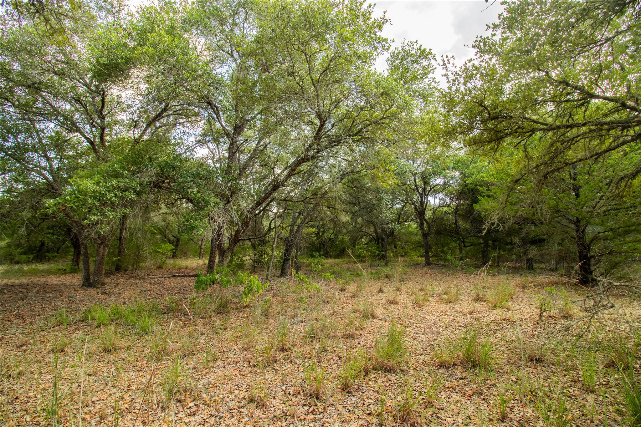 001 County Road 15 None Property Photo 13