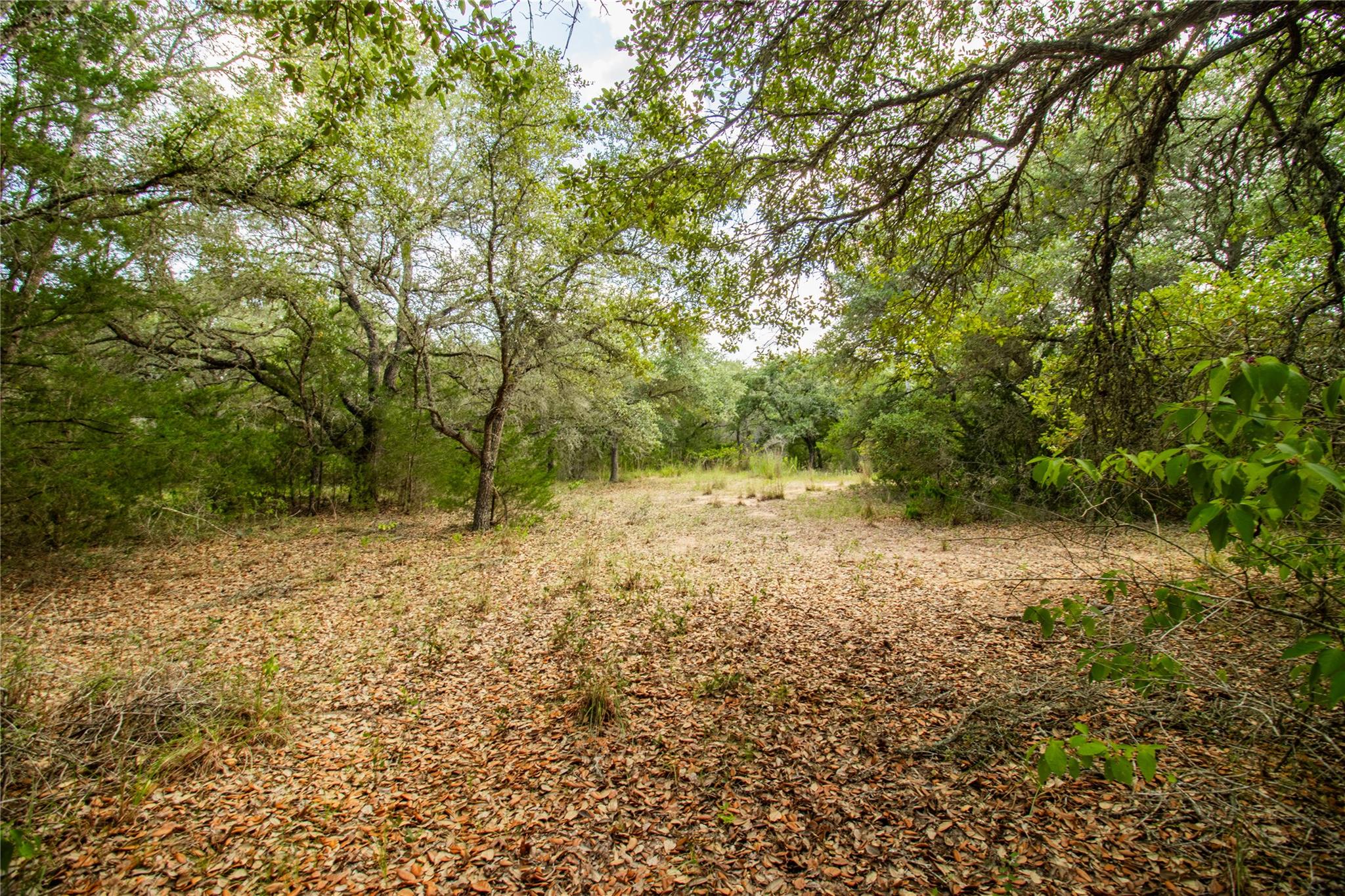 001 County Road 15 None Property Photo 14
