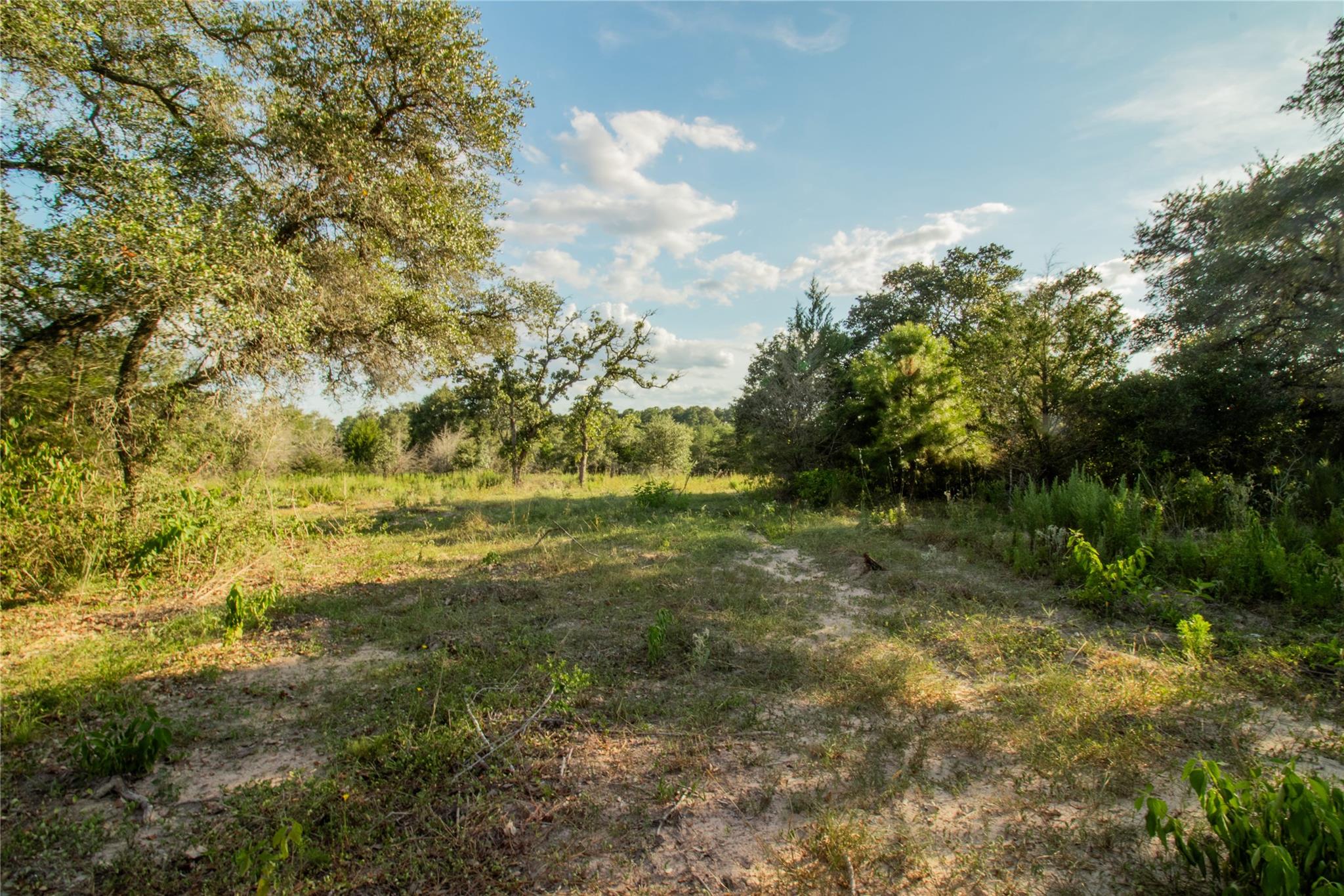 001 County Road 15 None Property Photo 15