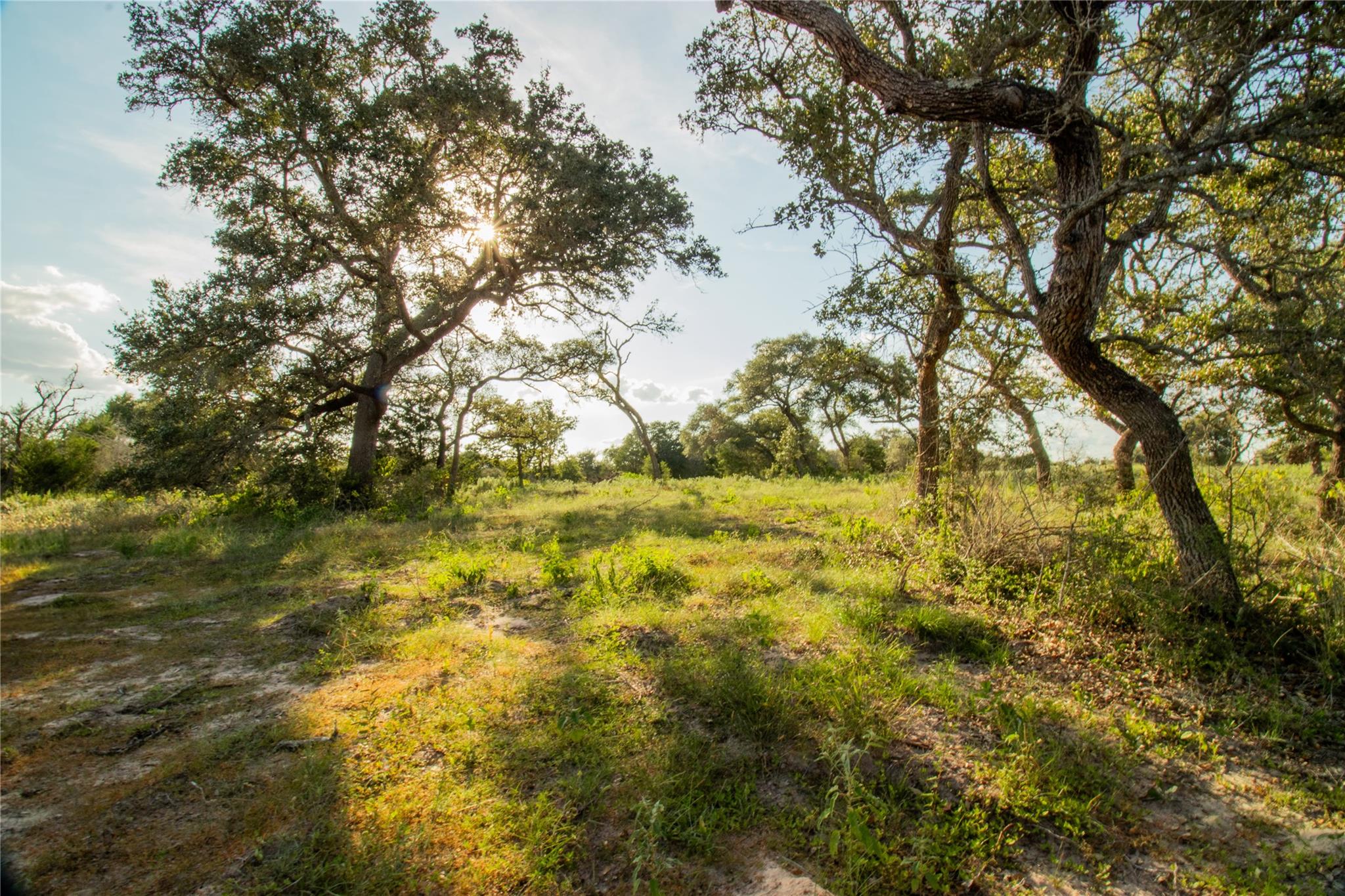 001 County Road 15 None Property Photo 19