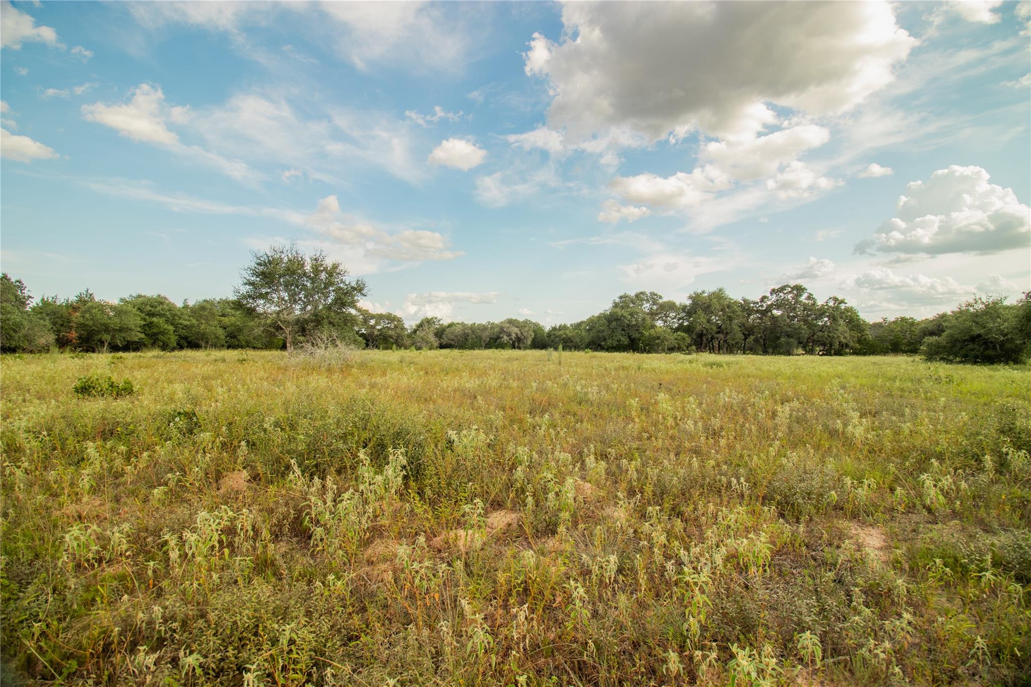 001 County Road 15 None Property Photo 20