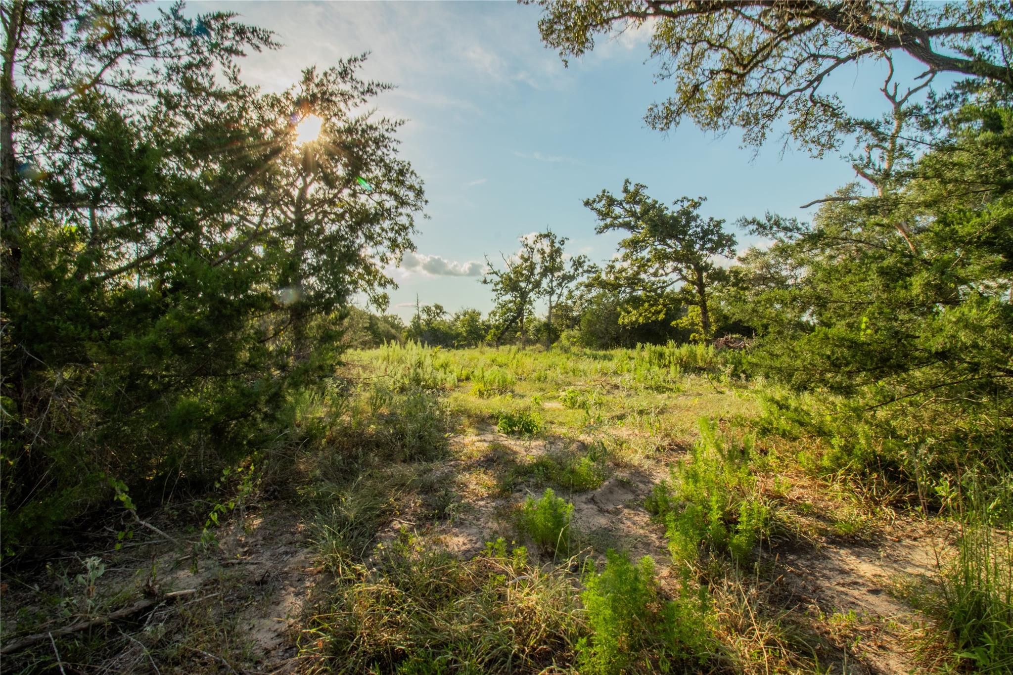 001 County Road 15 None Property Photo 21