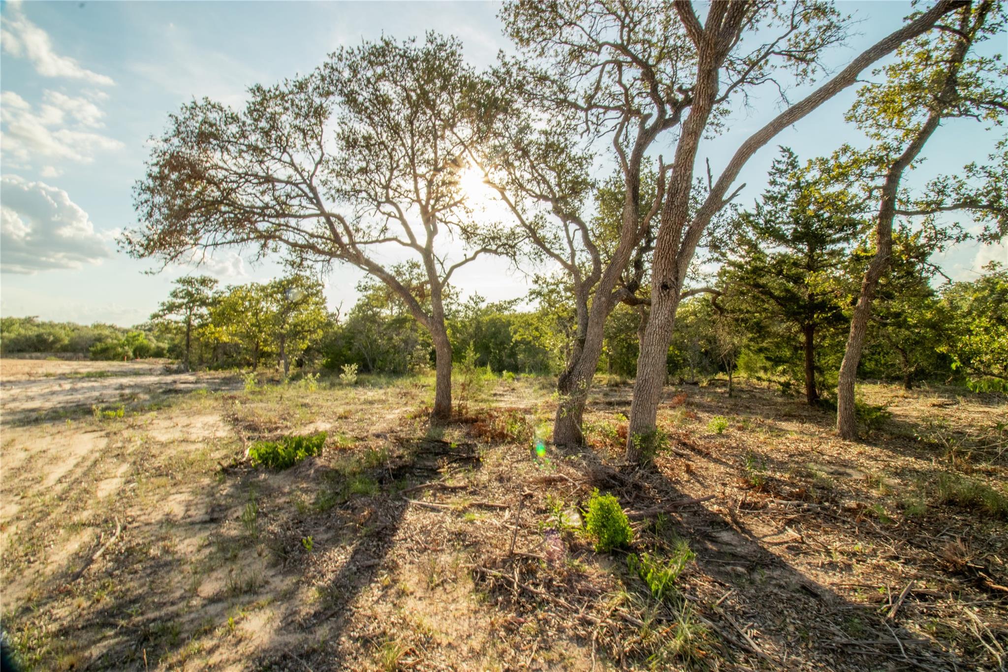 001 County Road 15 None Property Photo 22