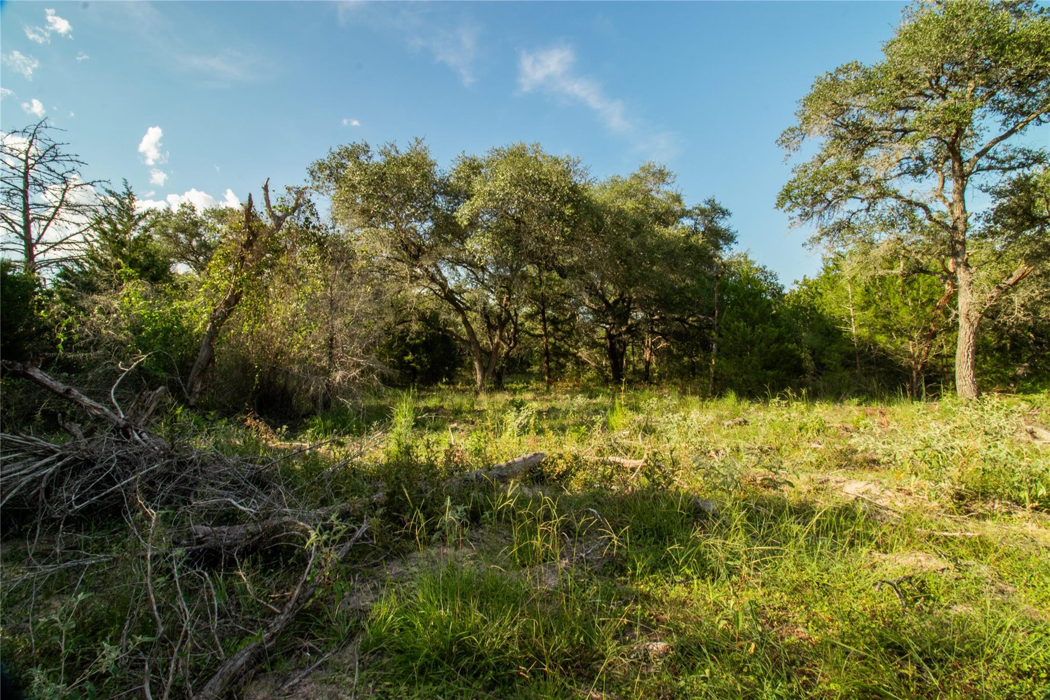 001 County Road 15 None Property Photo 23