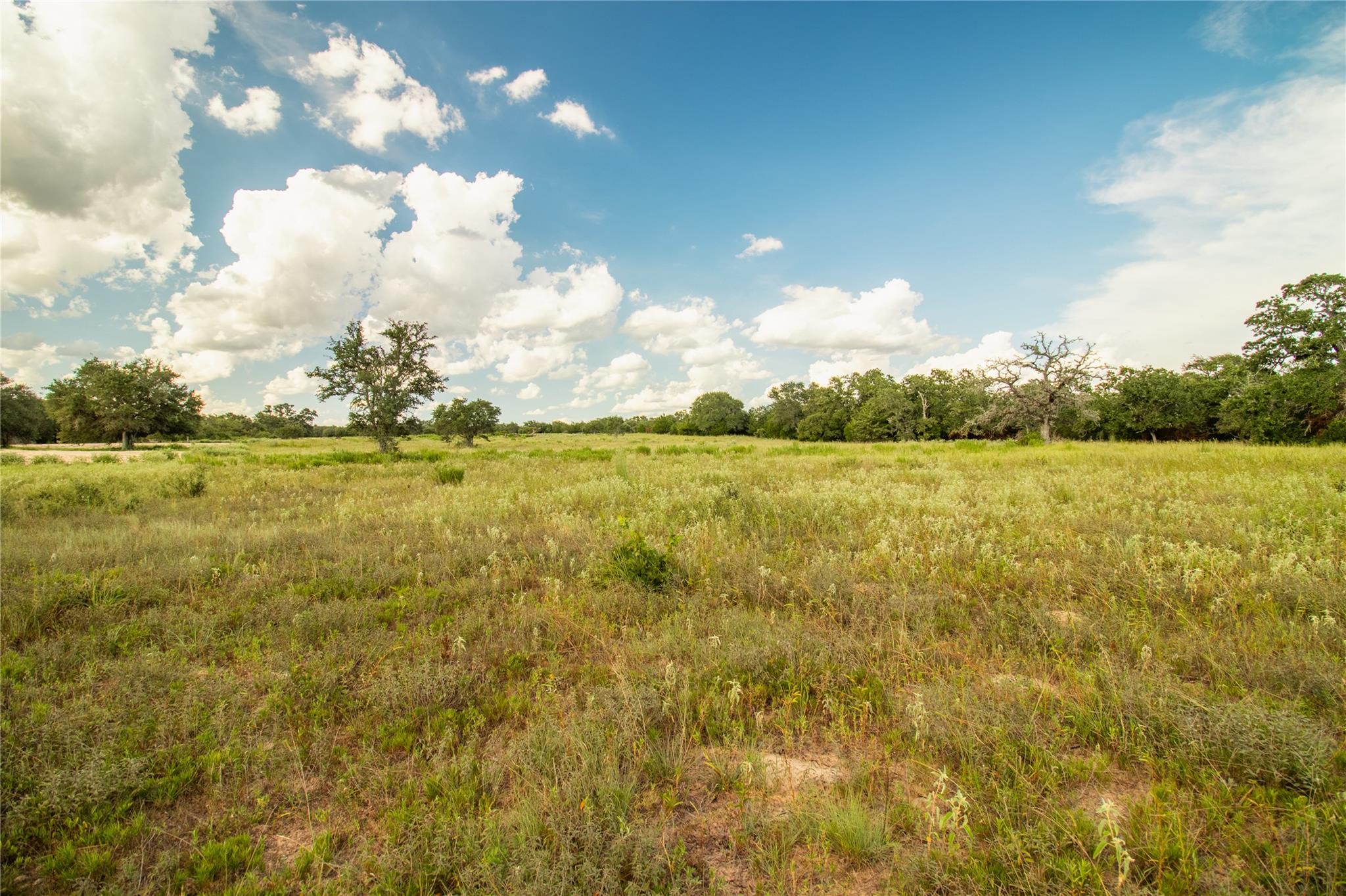 001 County Road 15 None Property Photo 26