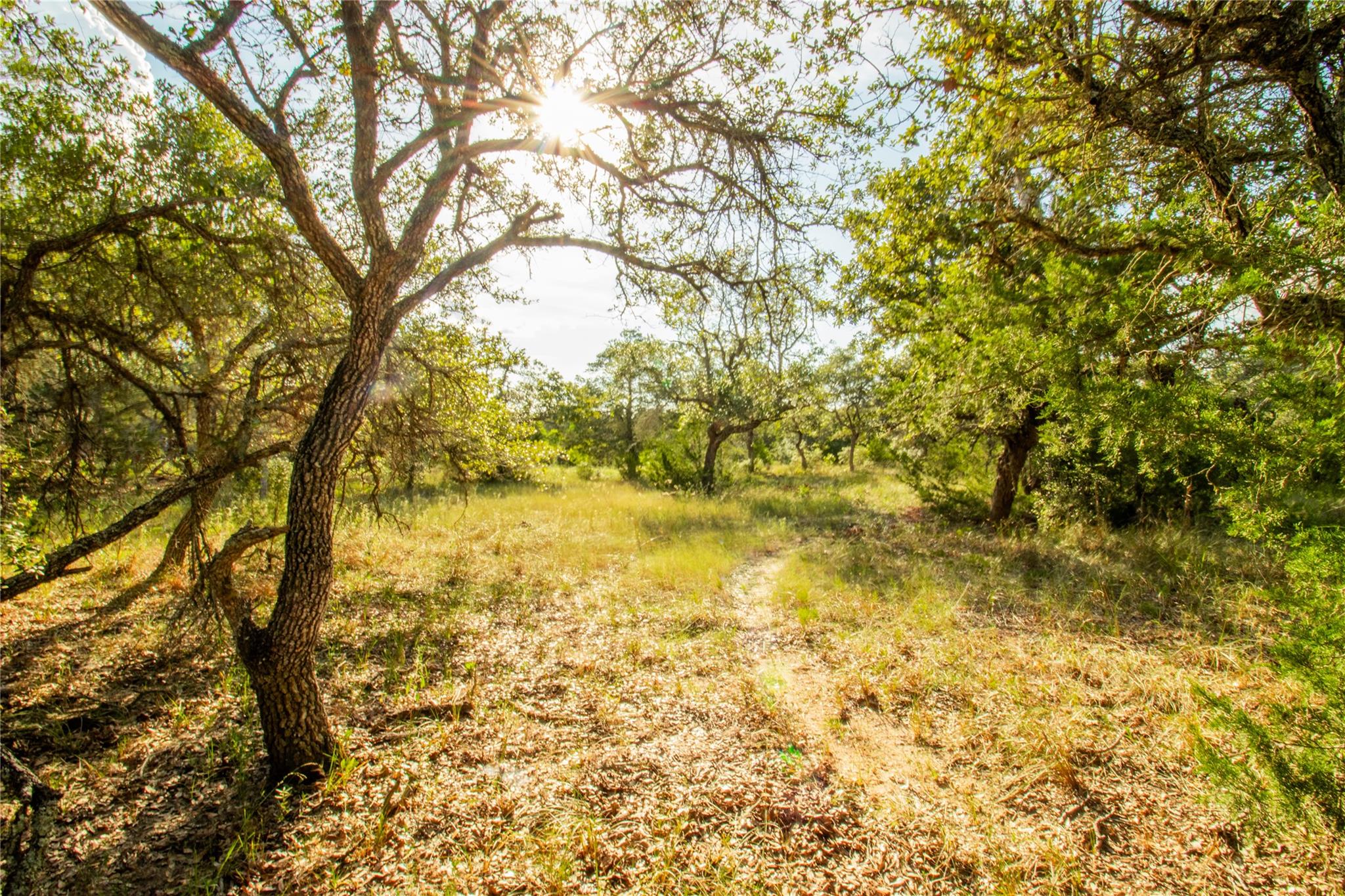001 County Road 15 None Property Photo 27