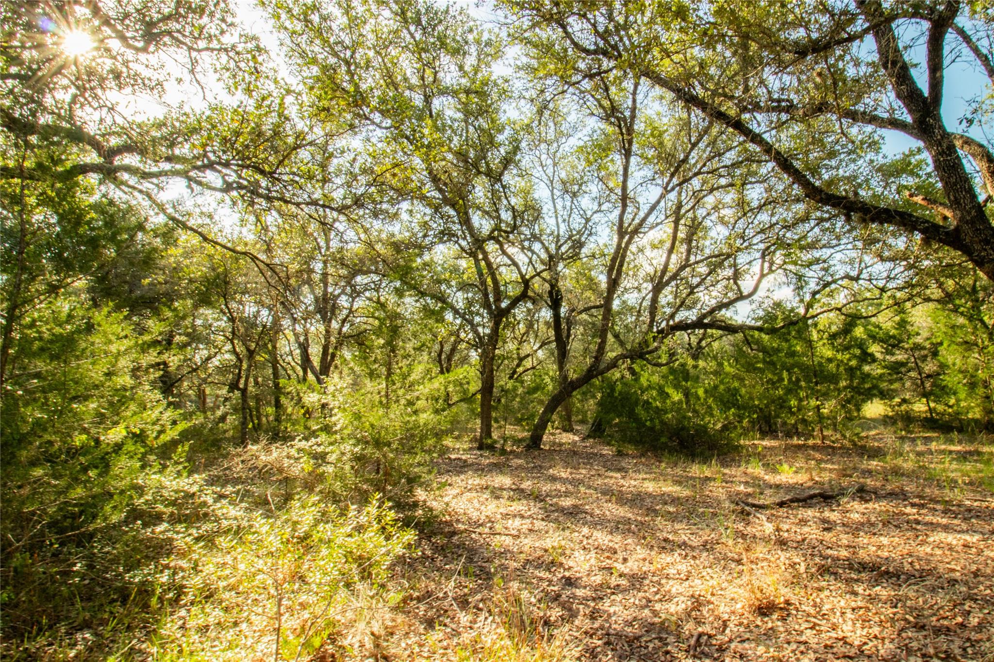 001 County Road 15 None Property Photo 28