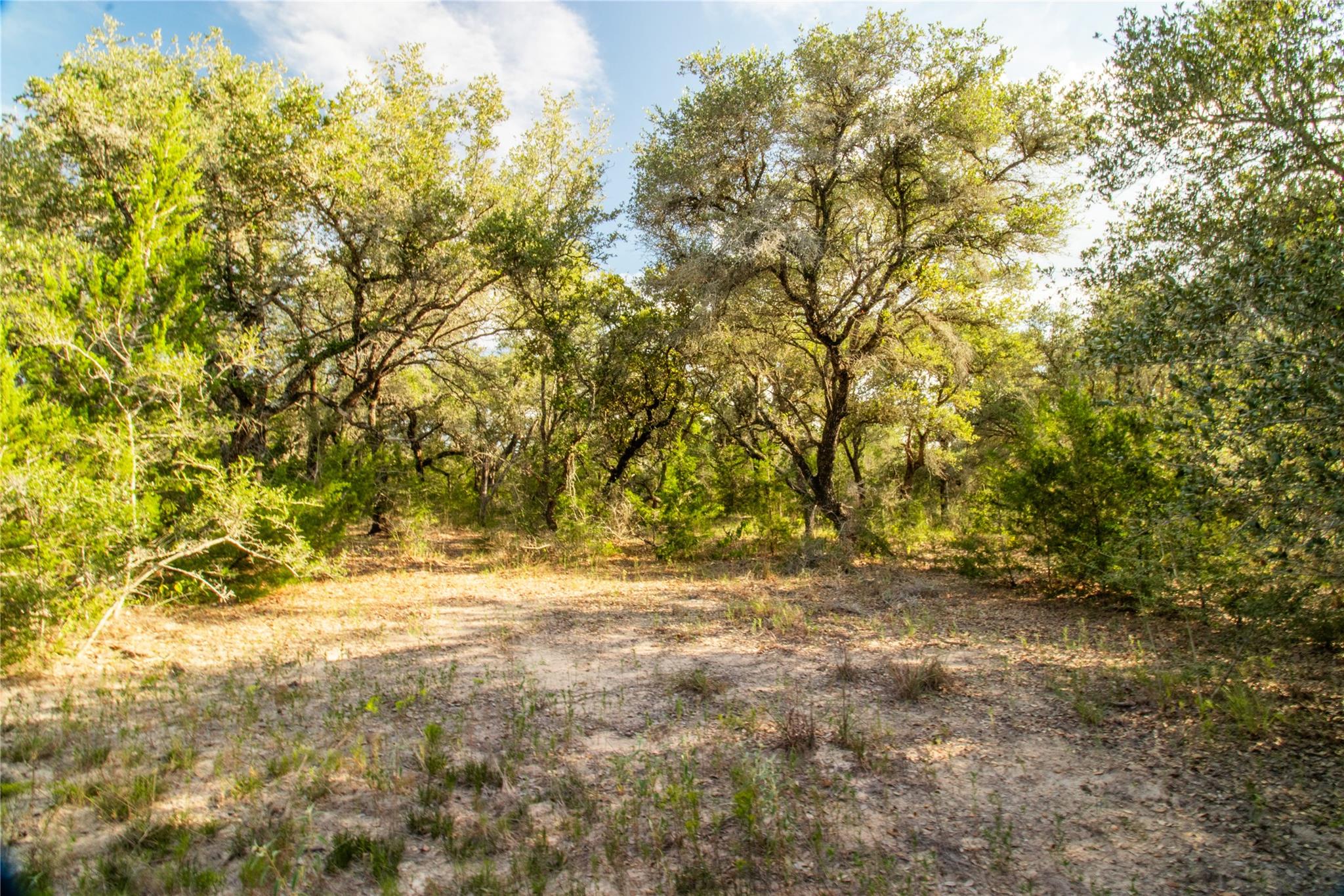 001 County Road 15 None Property Photo 29