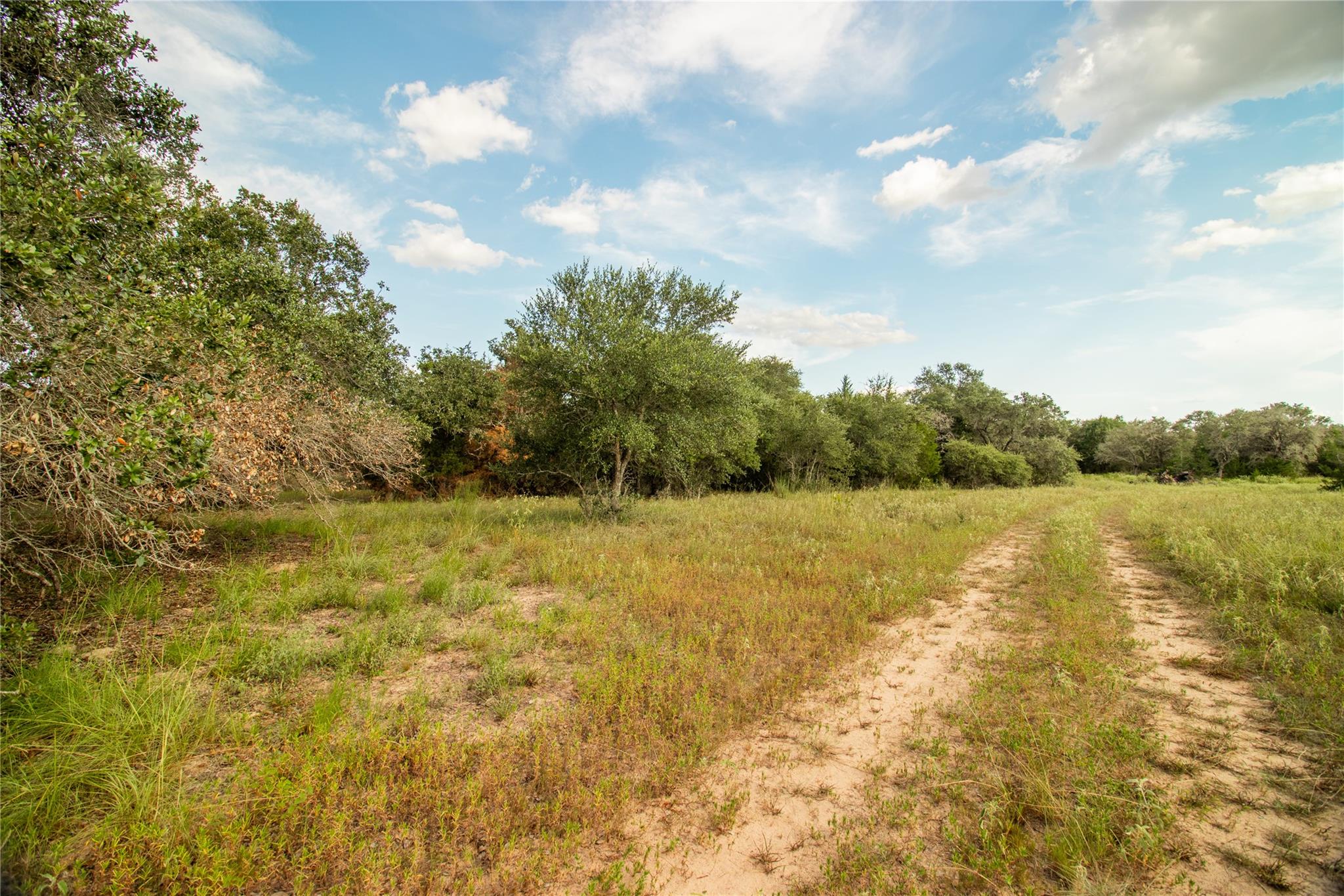 001 County Road 15 None Property Photo 31
