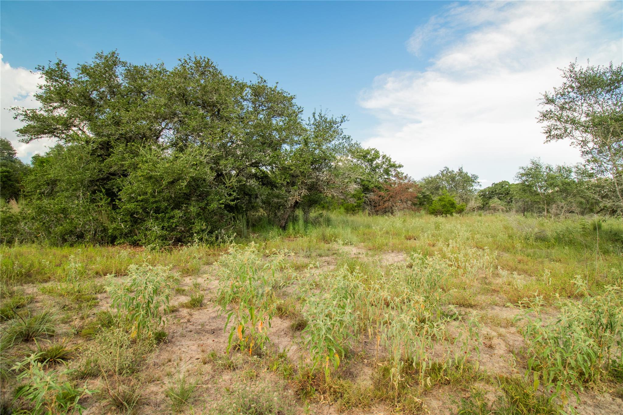 001 County Road 15 None Property Photo 32